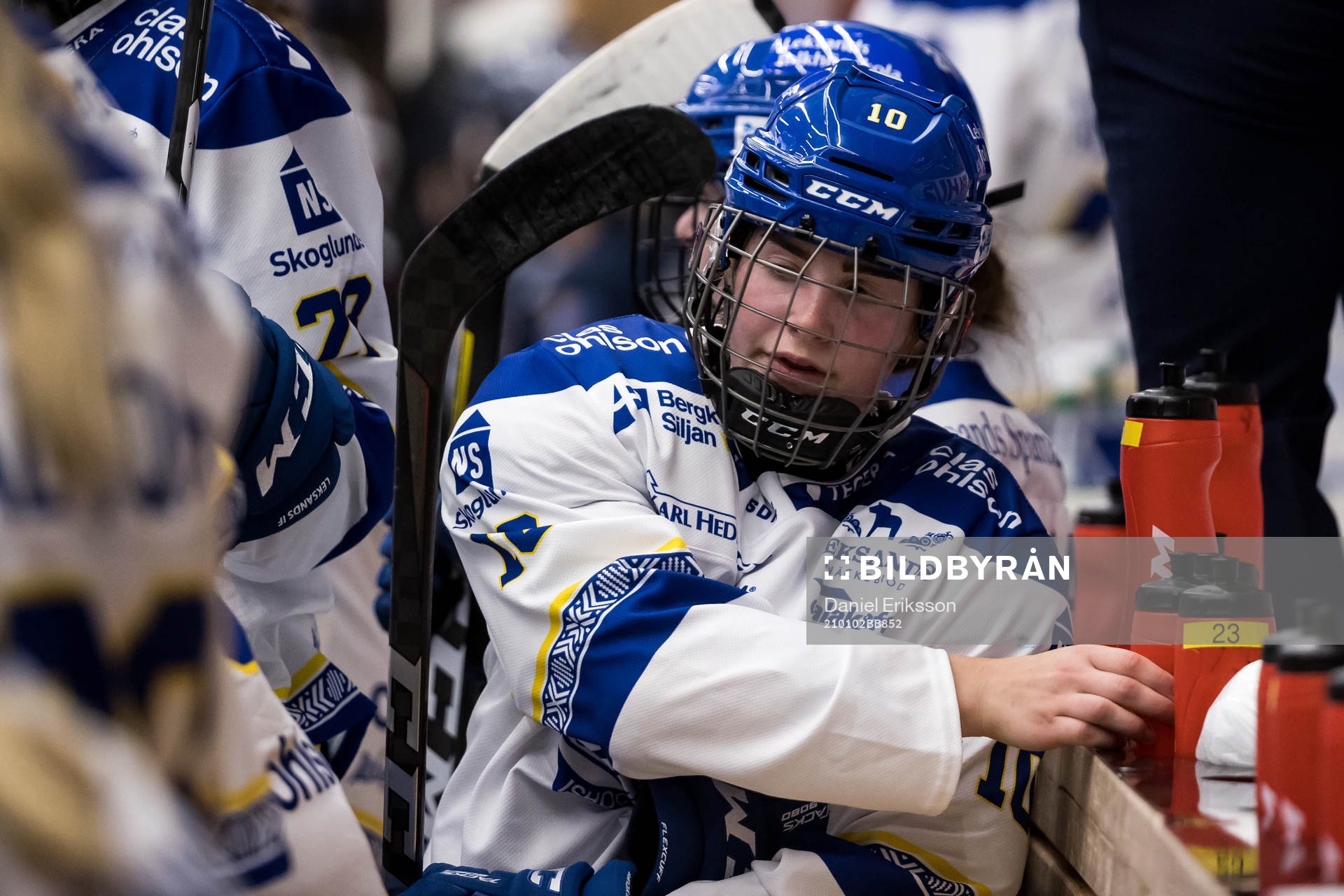 Leksands Shea Demale