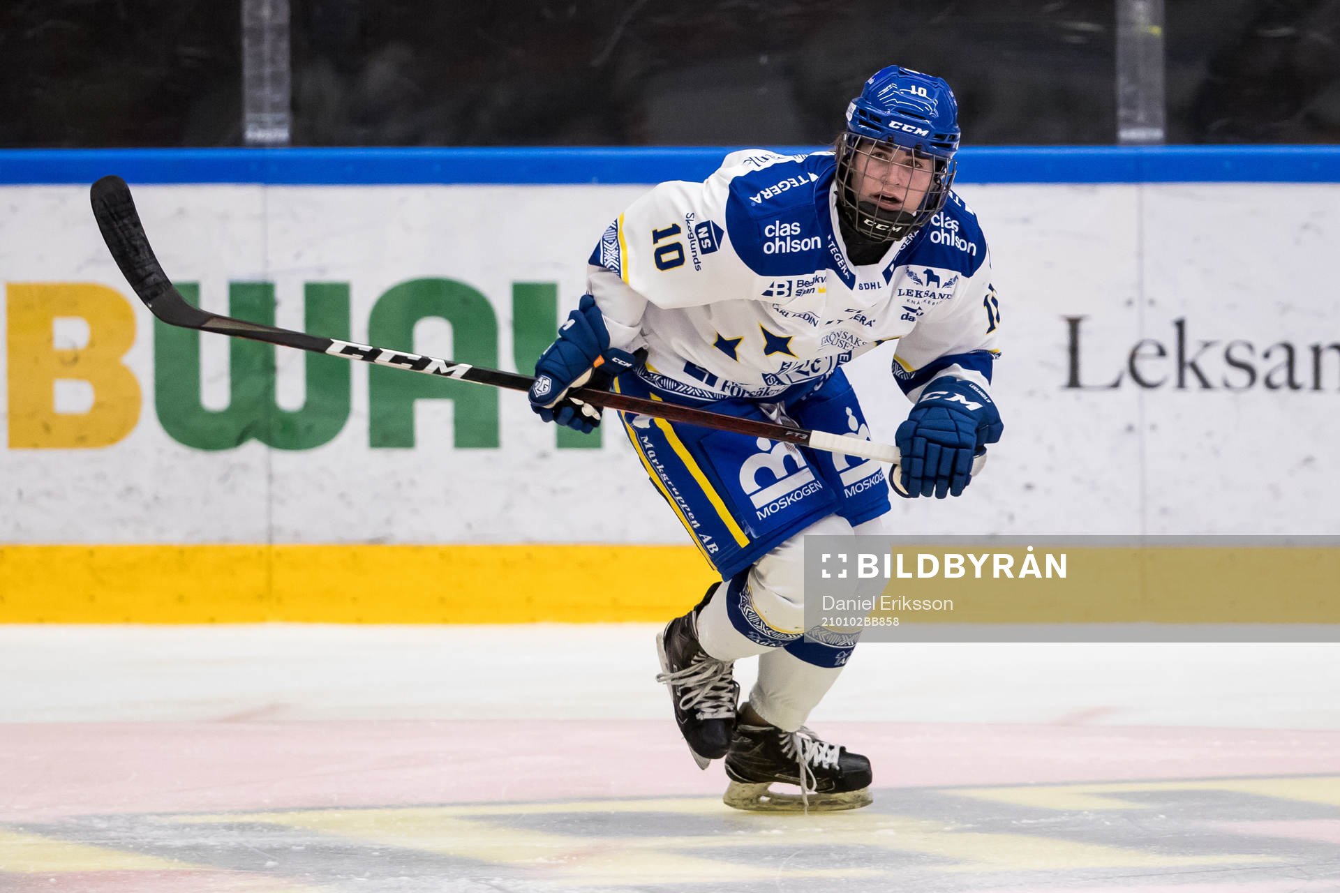 Leksands Shea Demale