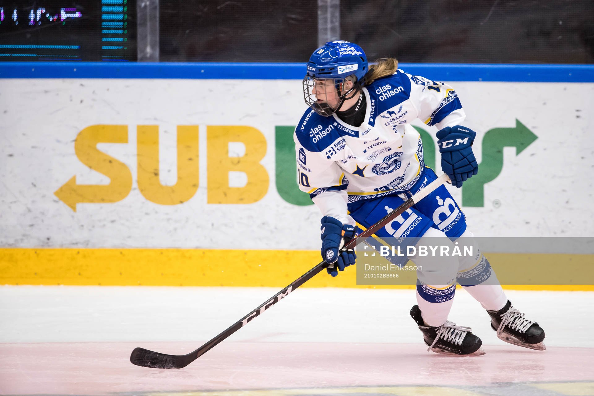 Leksands Shea Demale