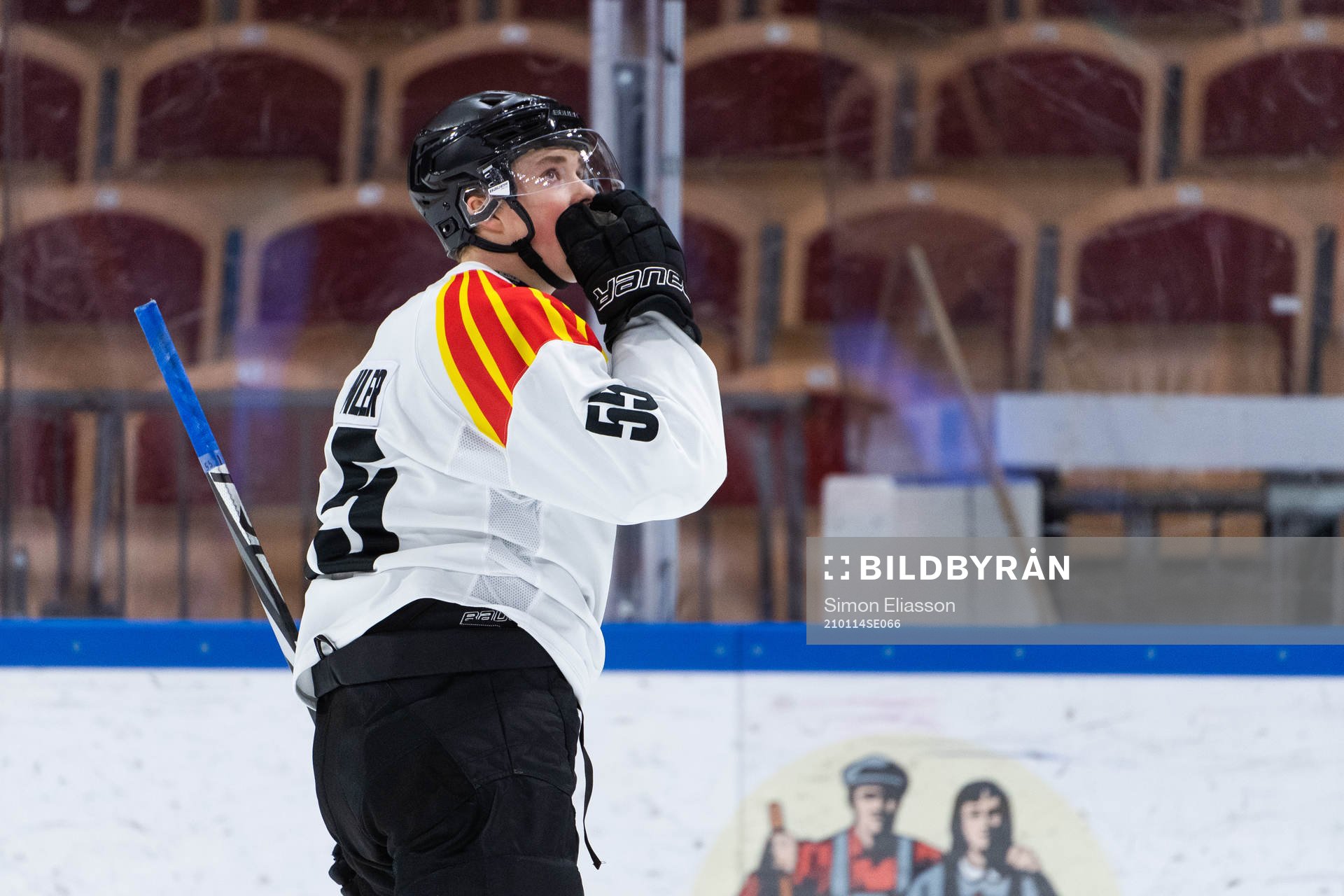 Brynäs Noel Gunler