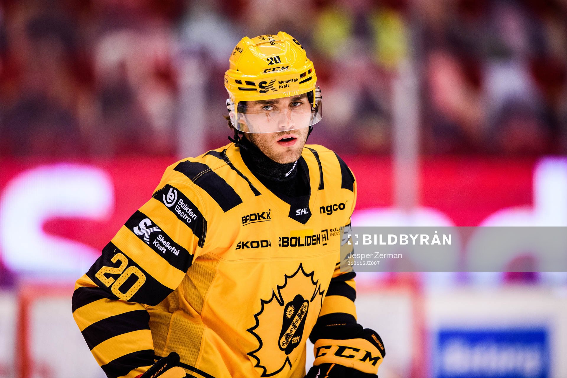 Skellefteås Roland McKeown