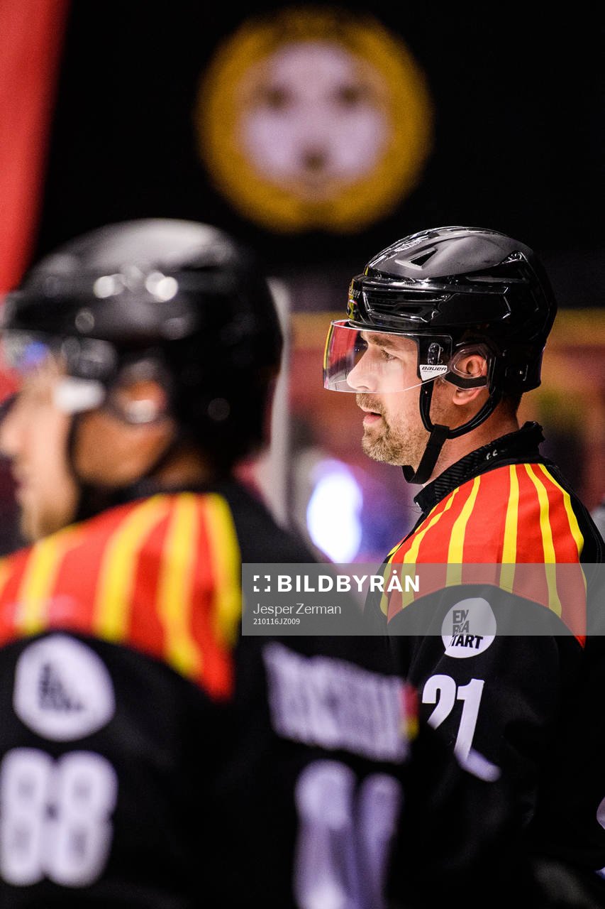 Brynäs Patrik Berglund