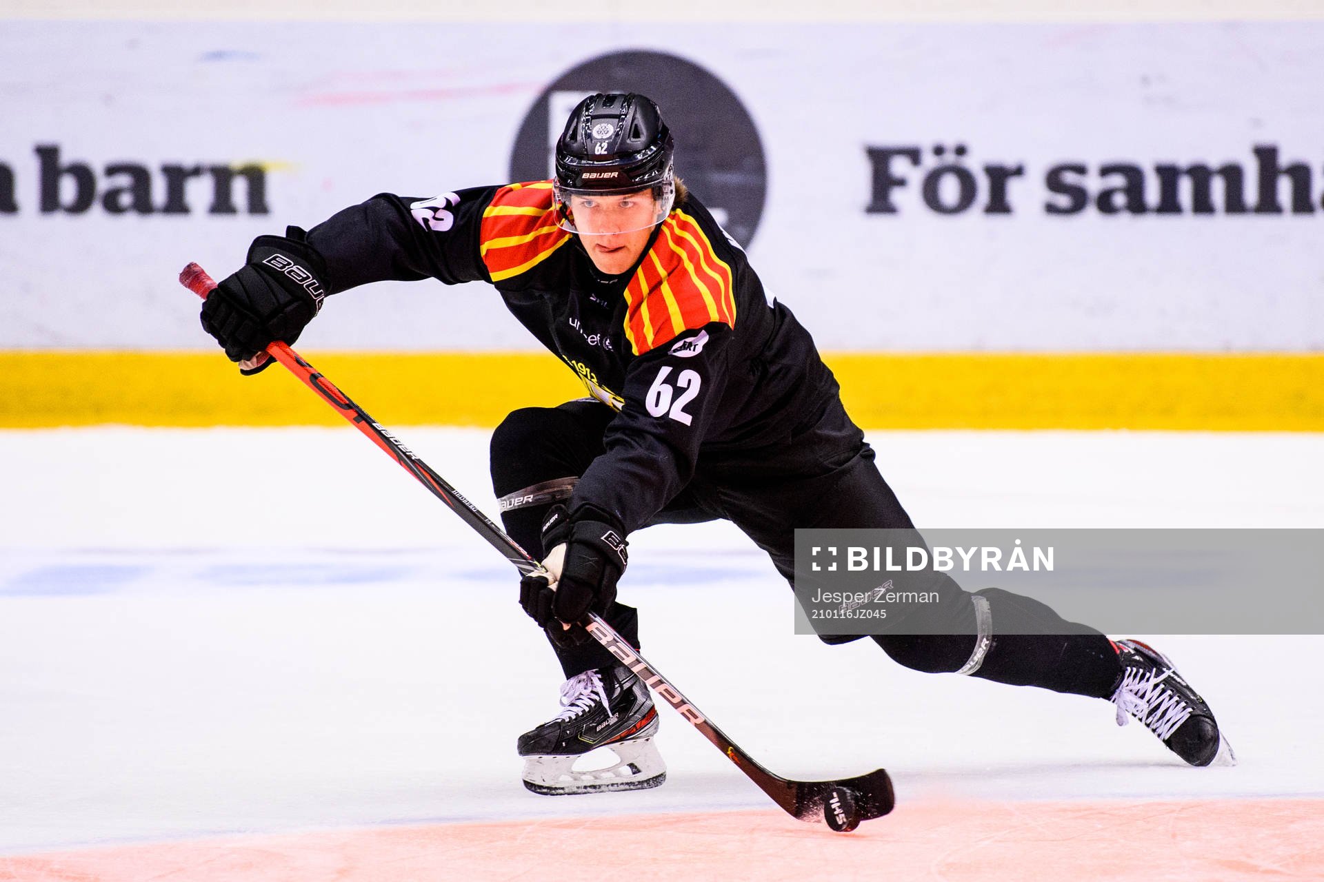 Brynäs Tom Hedberg