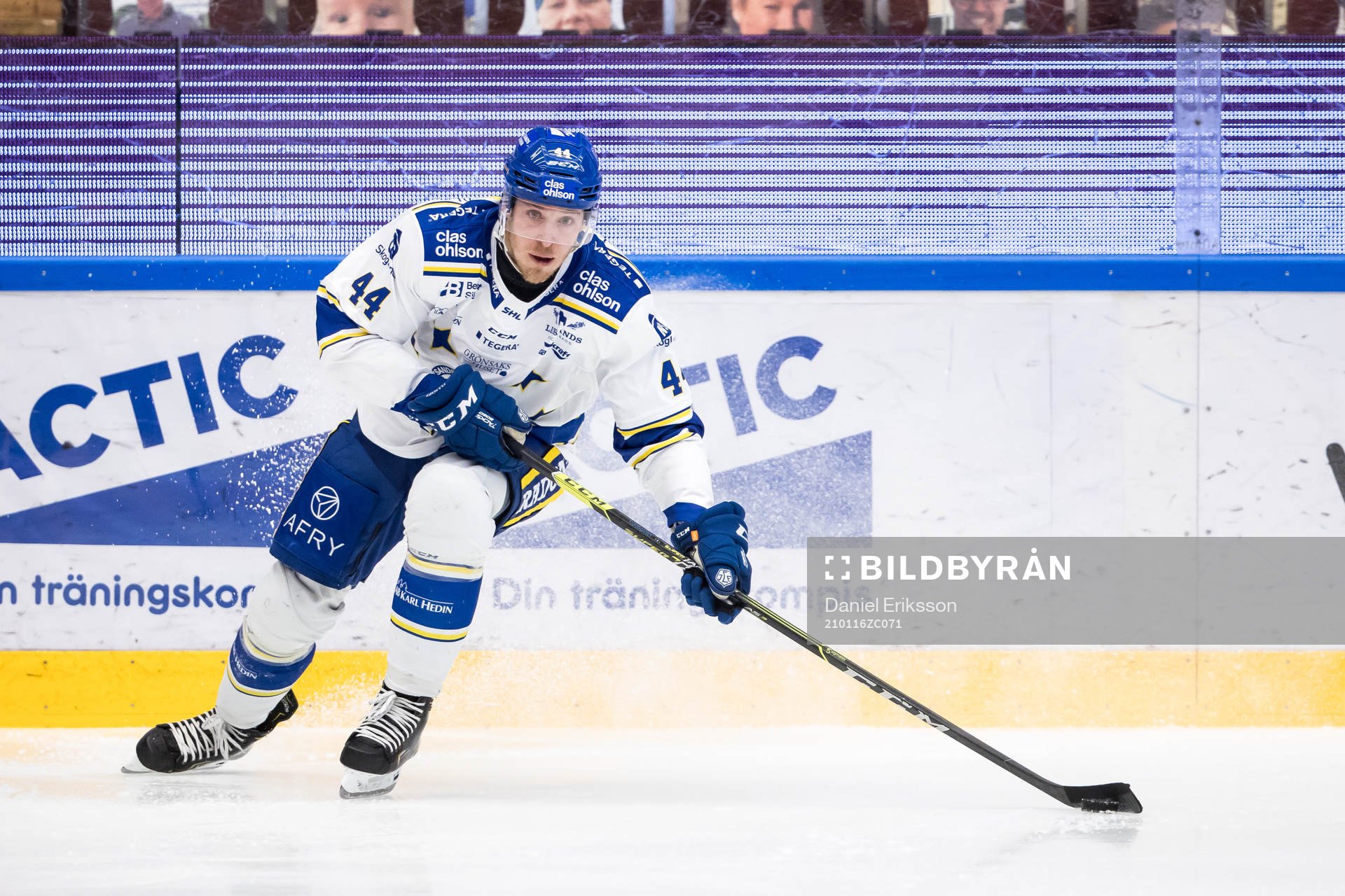 Leksands Carter Ashton
