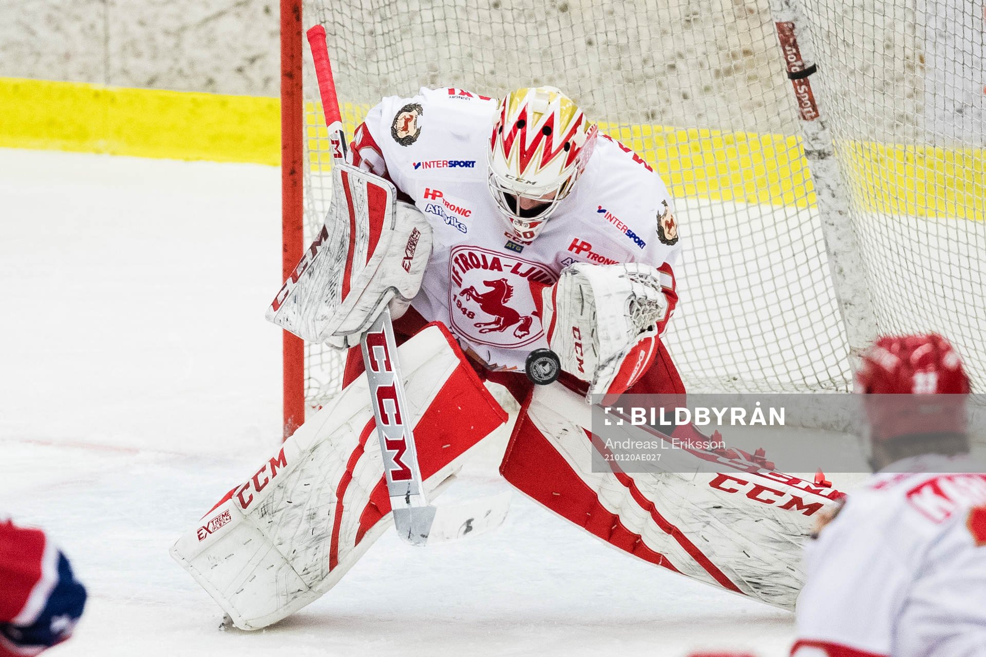 Trojas målvakt Anton Hjalmarsson
