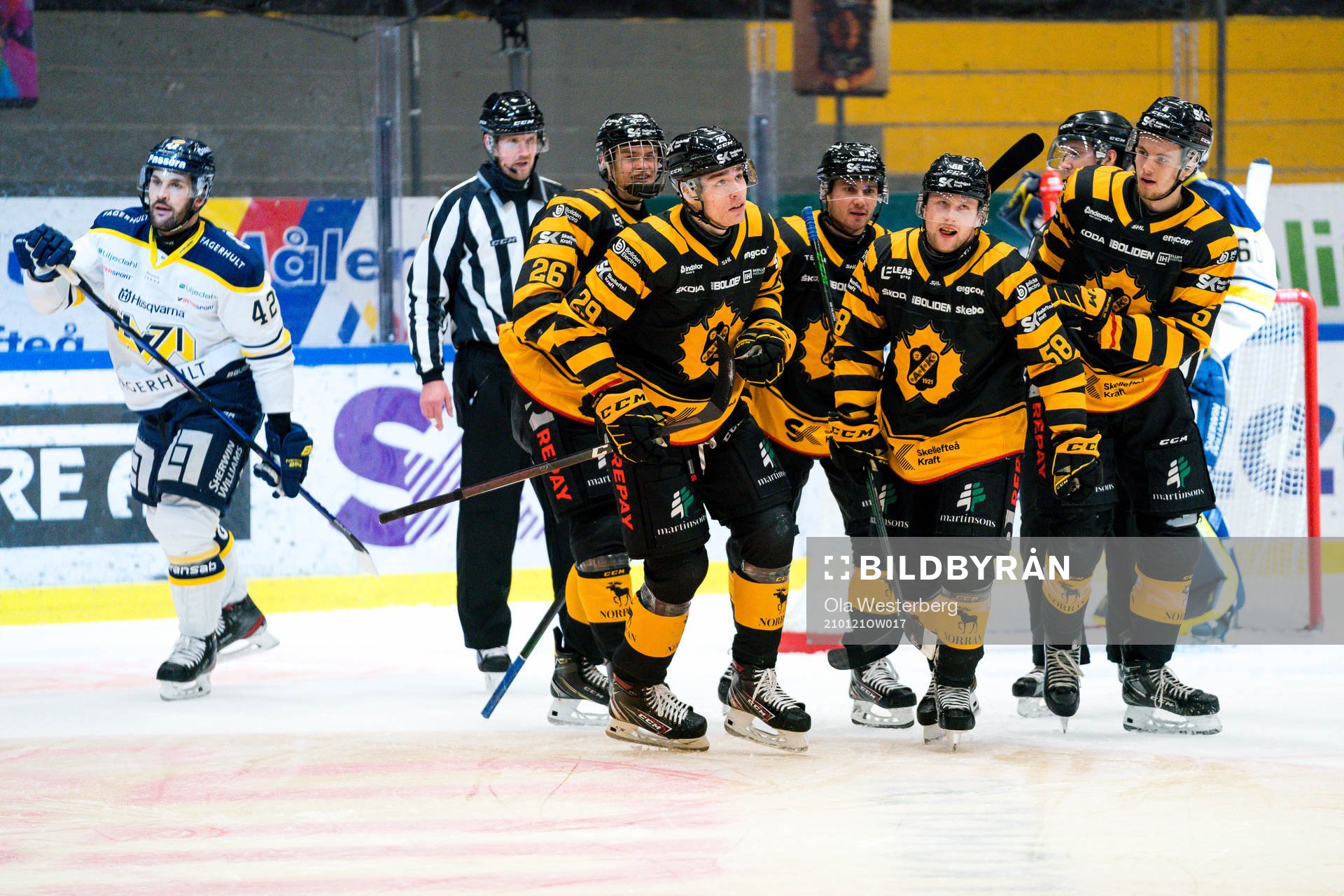 Skellefteås Albin Sundsvik  jublar