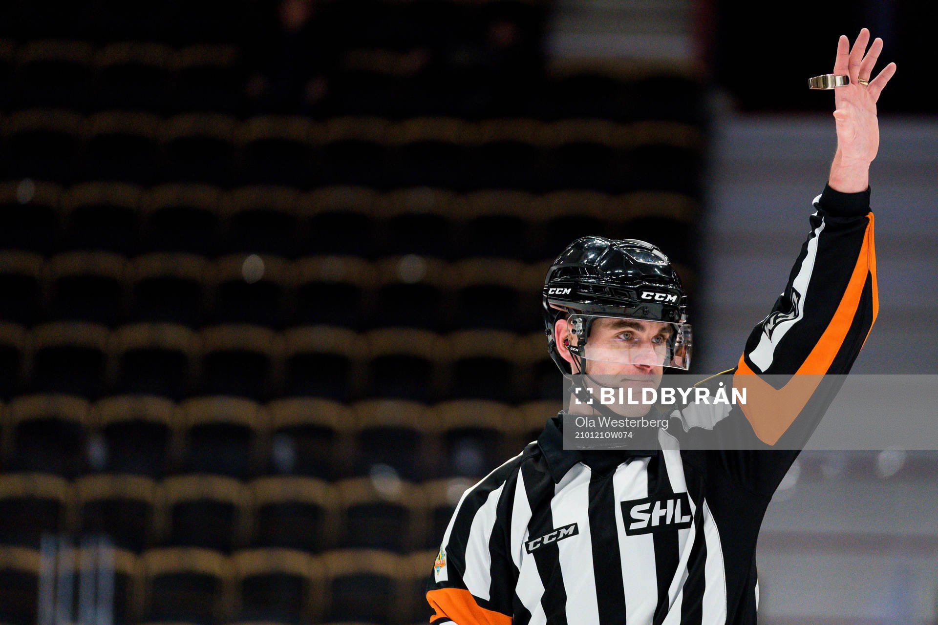 Domare Richard Magnusson