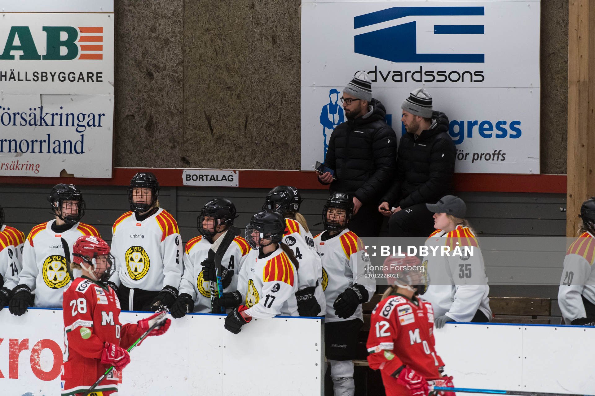 Brynäs tränare Henrik Glaas och Filip Eriksson