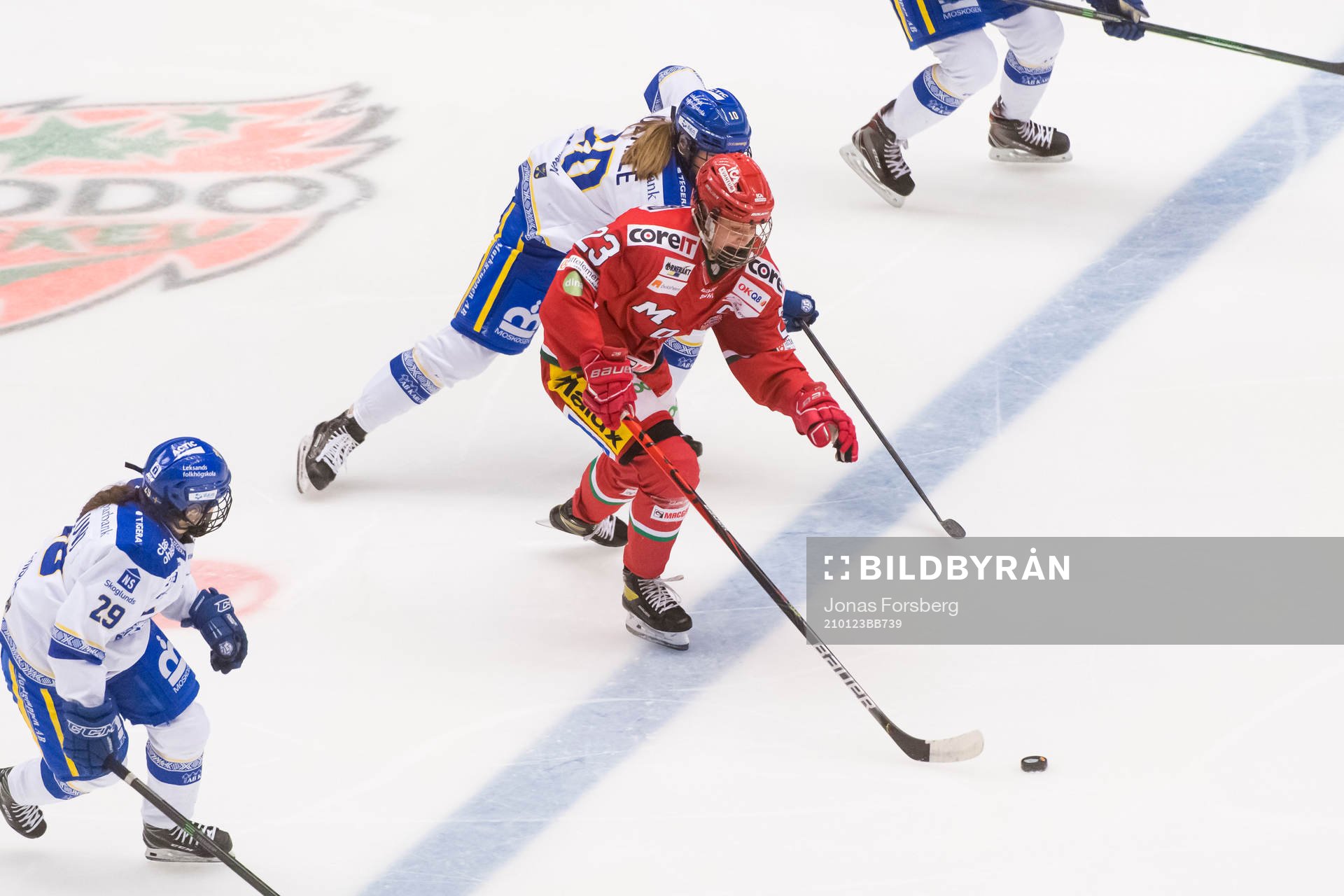 Modos Olivia Carlsson jagad av Leksands Shea Demale