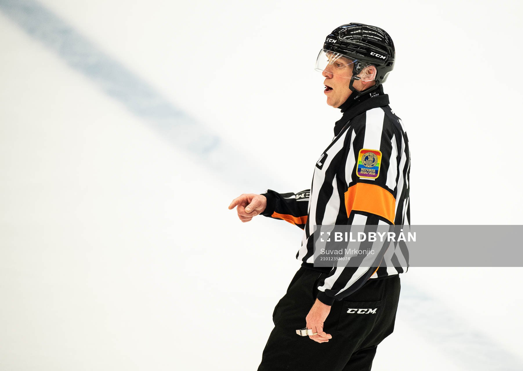 Domare Morgan Johansson