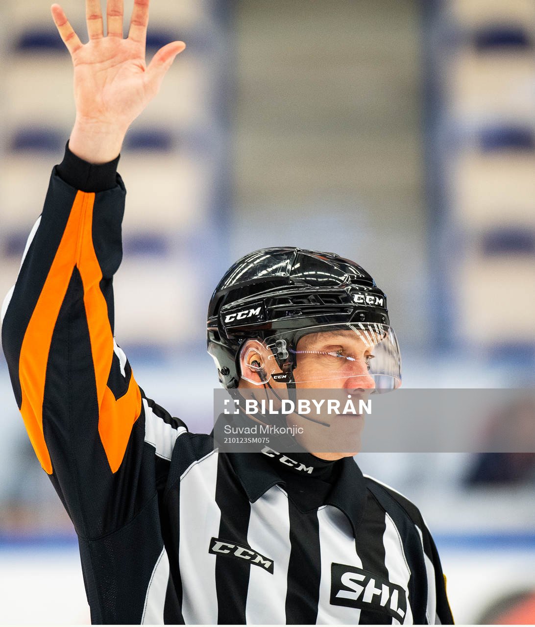 Domare Morgan Johansson