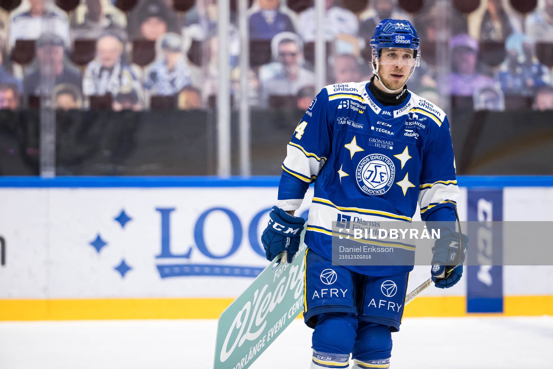 Leksands Carter Ashton