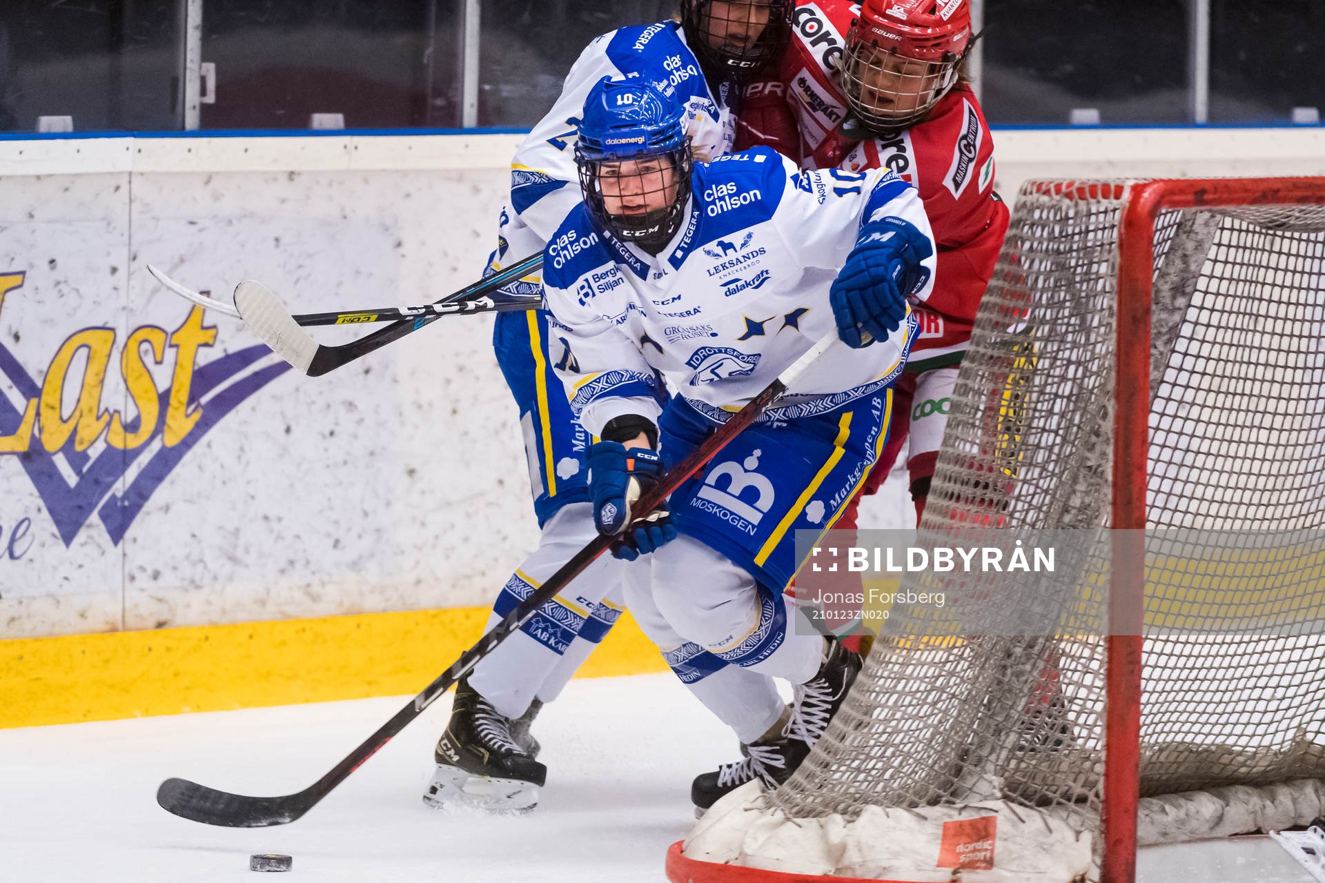 Leksands Shea Demale
