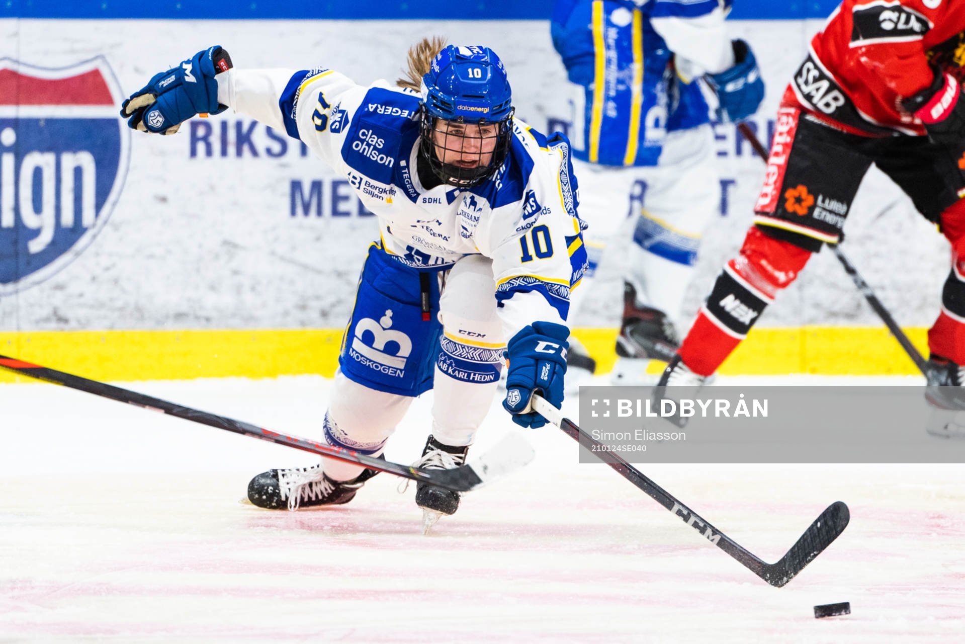 Leksands Shea Demale