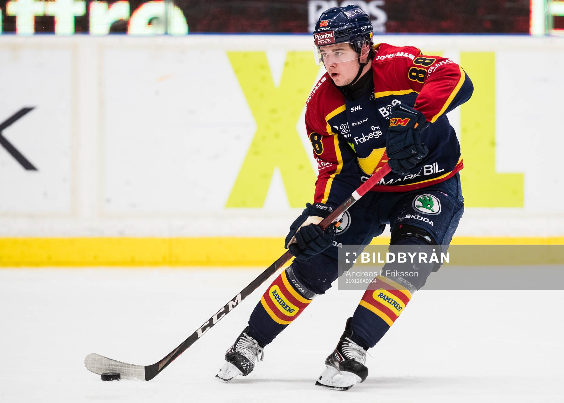 Djurgårdens Alexander Holtz