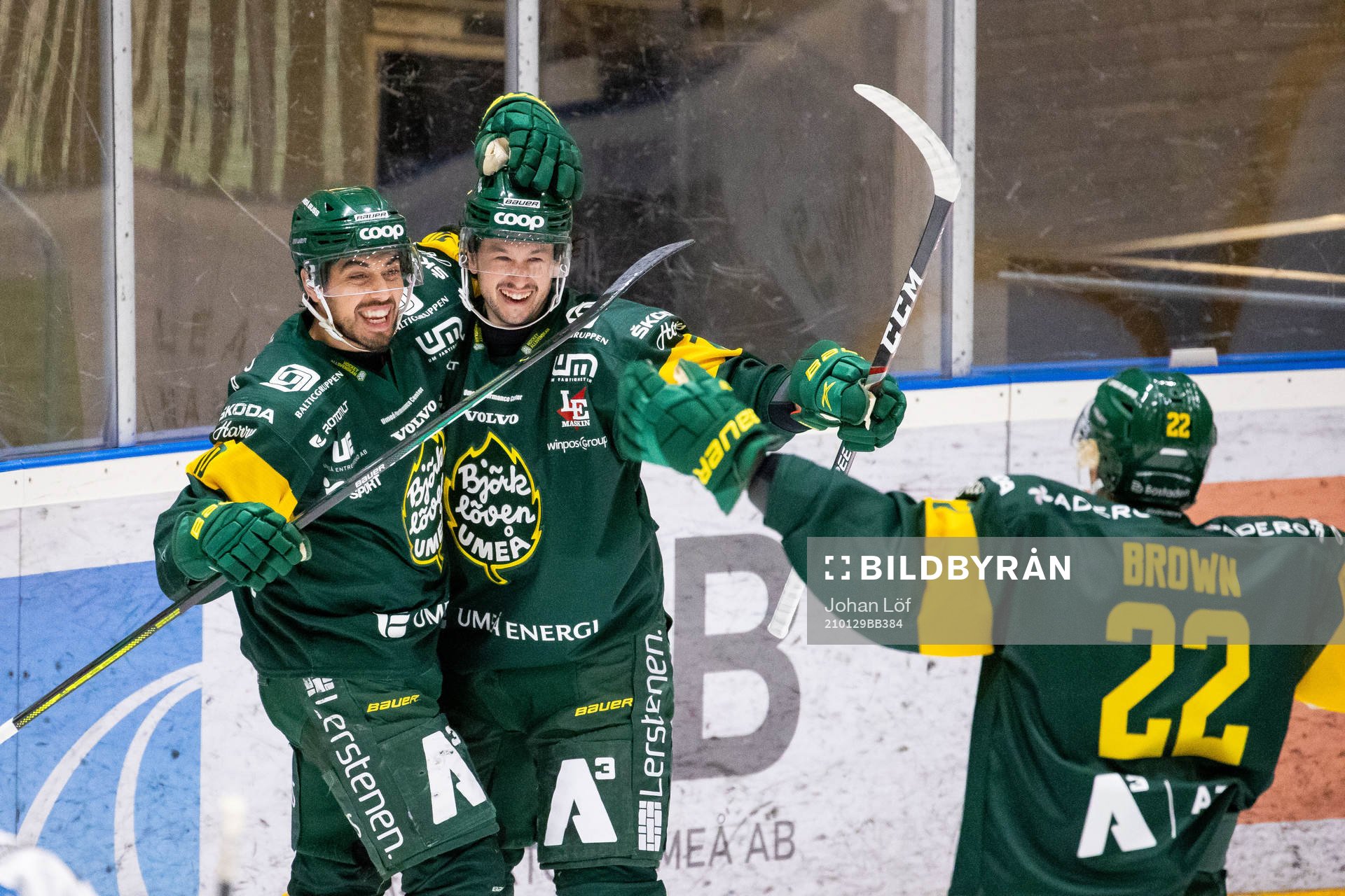 Björklövens Francis Perron blir grattad av Tyler Vesel