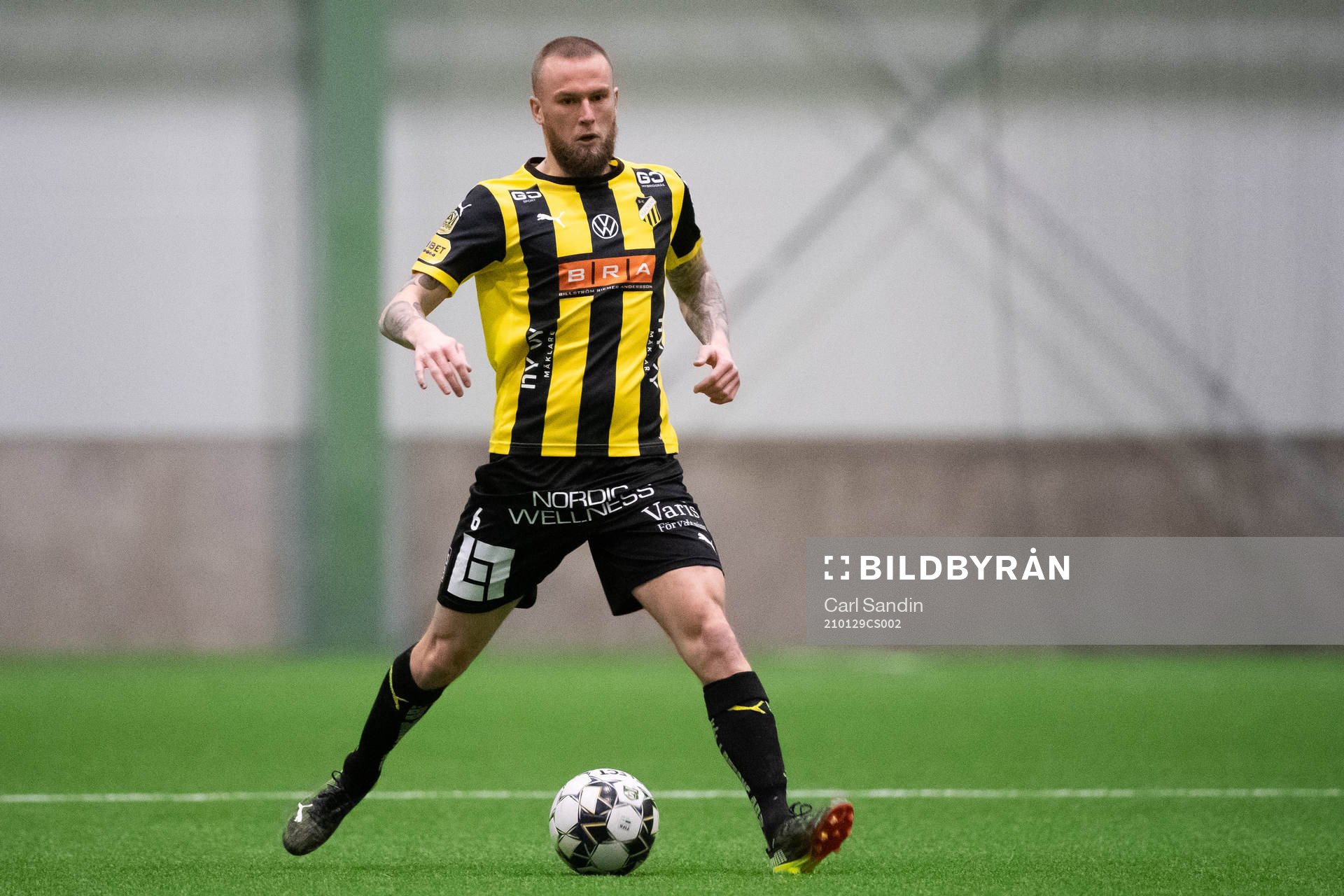 Häckens Alexander Faltsetas