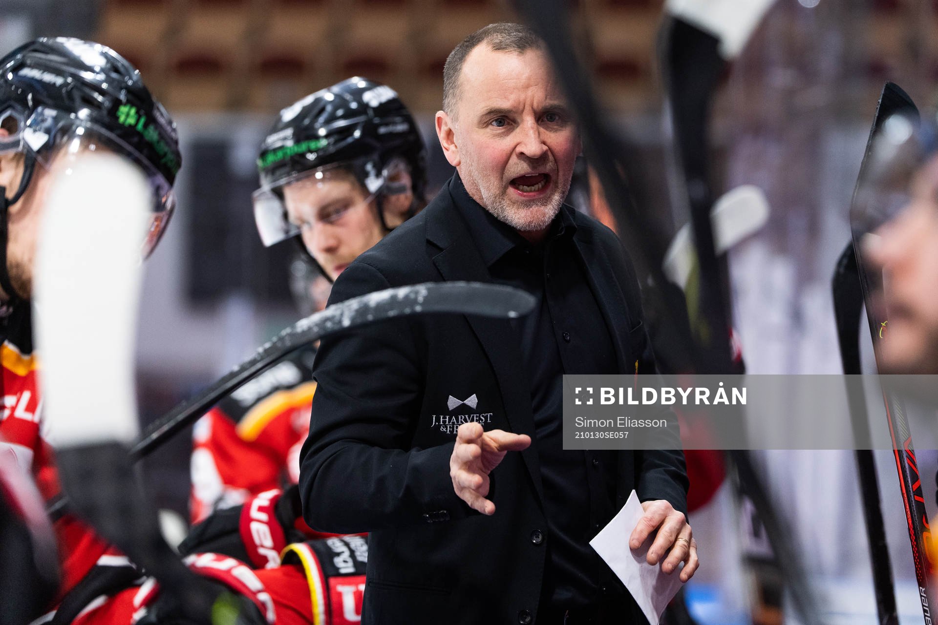 Luleås tränare Thomas Berglund