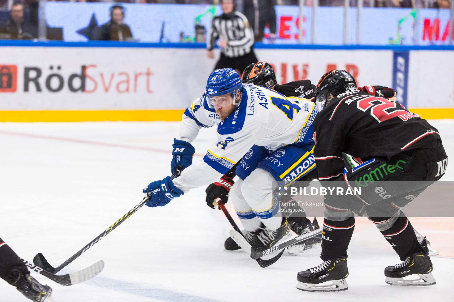 Leksands Ashton Carter