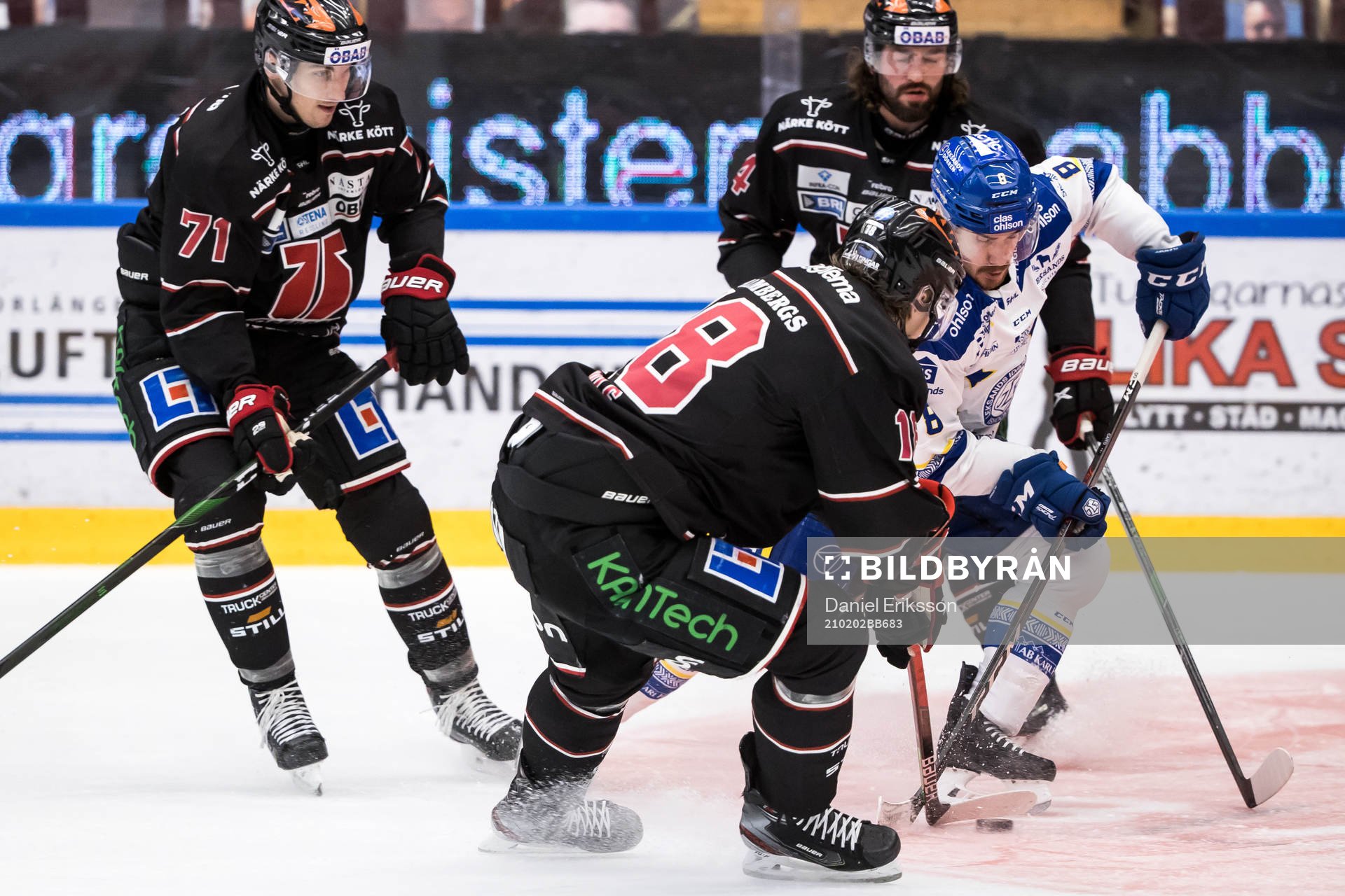 Leksands Matt Caito