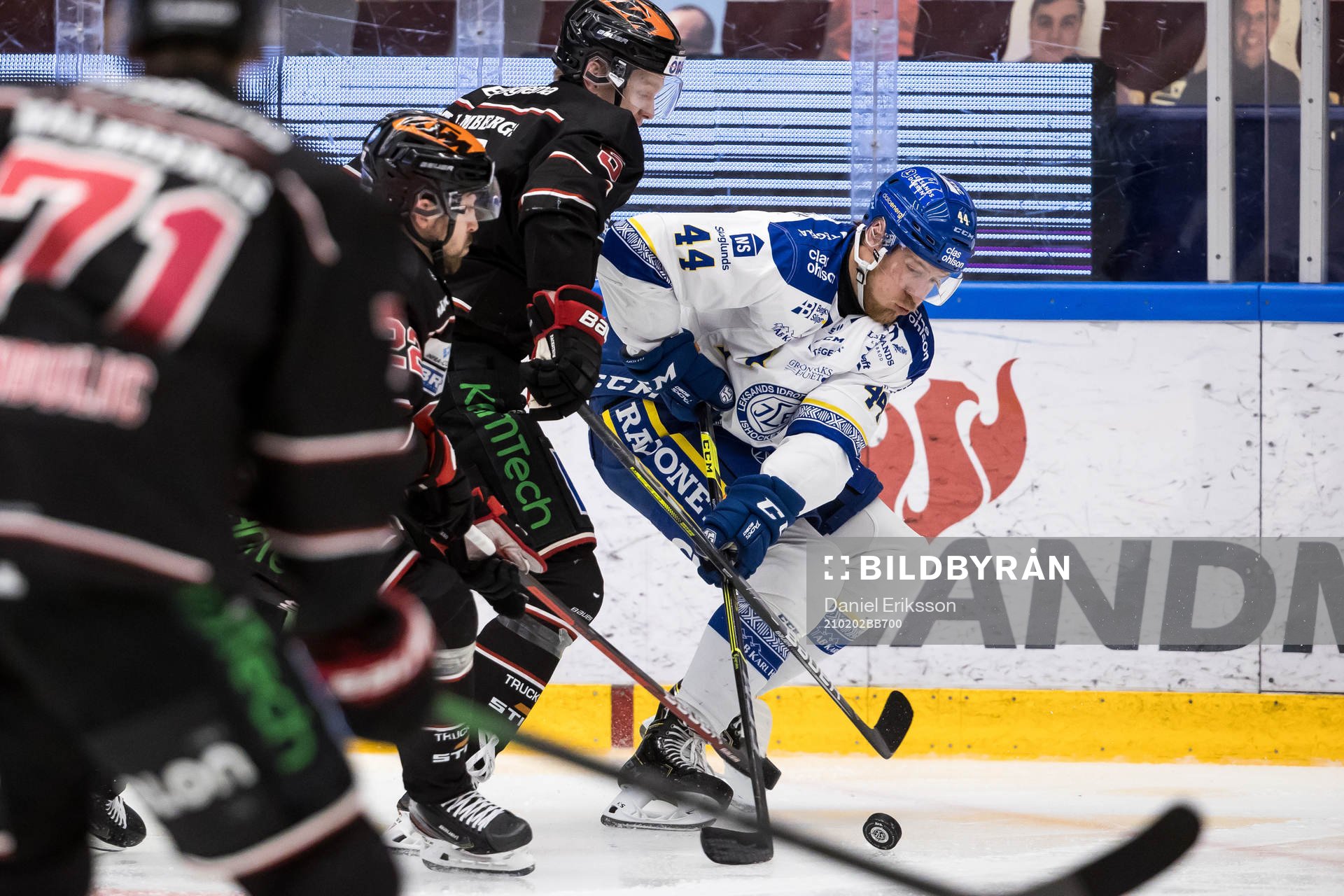 Leksands Carter Ashton