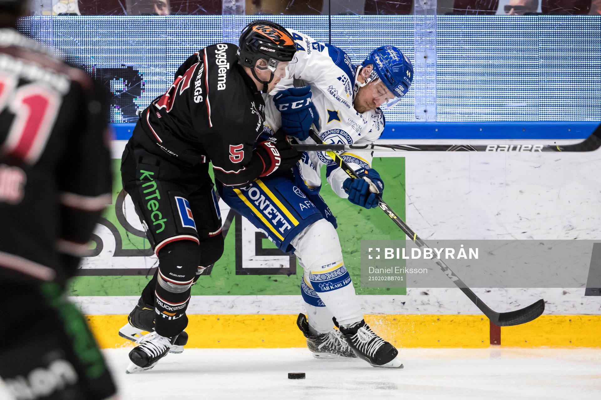 Leksands Carter Ashton
