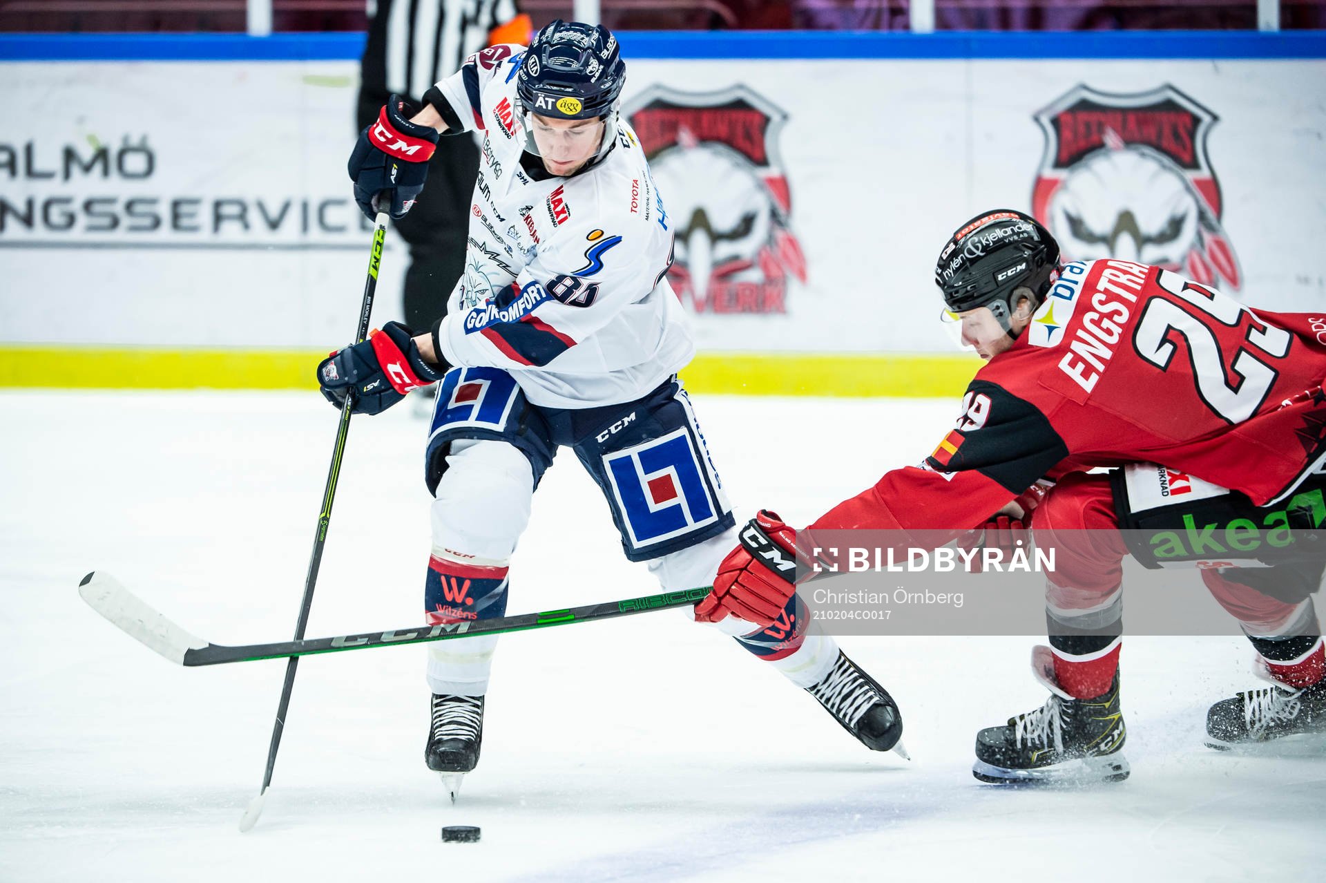 Linköpings Tyler Morley och Malmö Redhawks Eric Engstrand