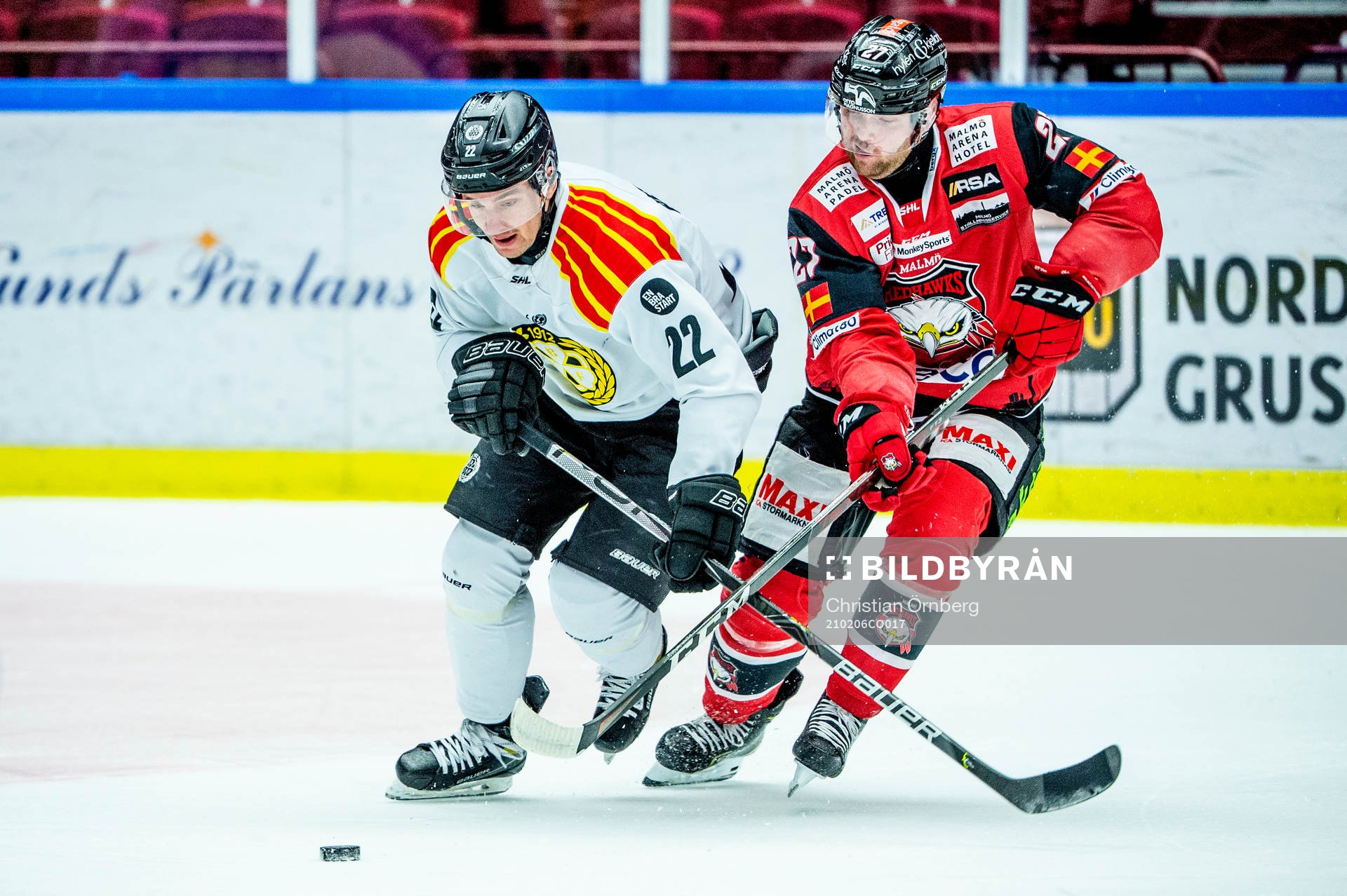 Brynäs Adam Pettersson mot Malmö Redhawks Ponthus