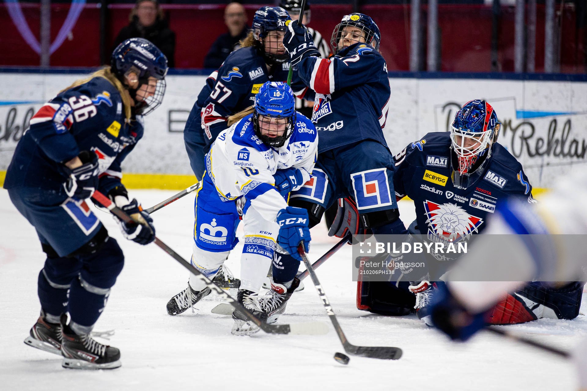 Leksands Shea Demale