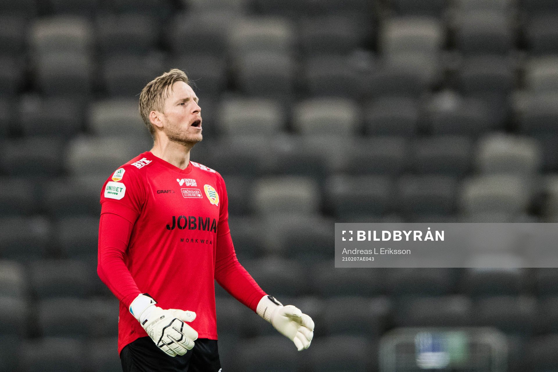 Hammarbys målvakt David Ousted