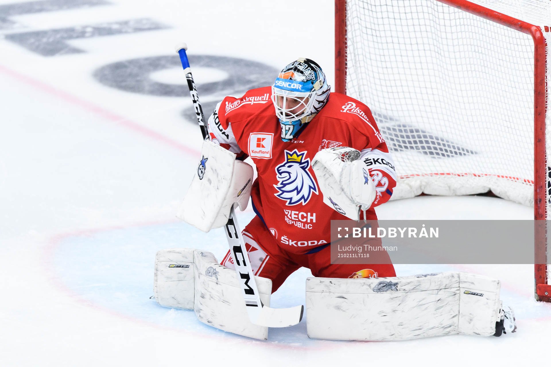 Goalkeeper Patrik Bartosak of Czech Republic