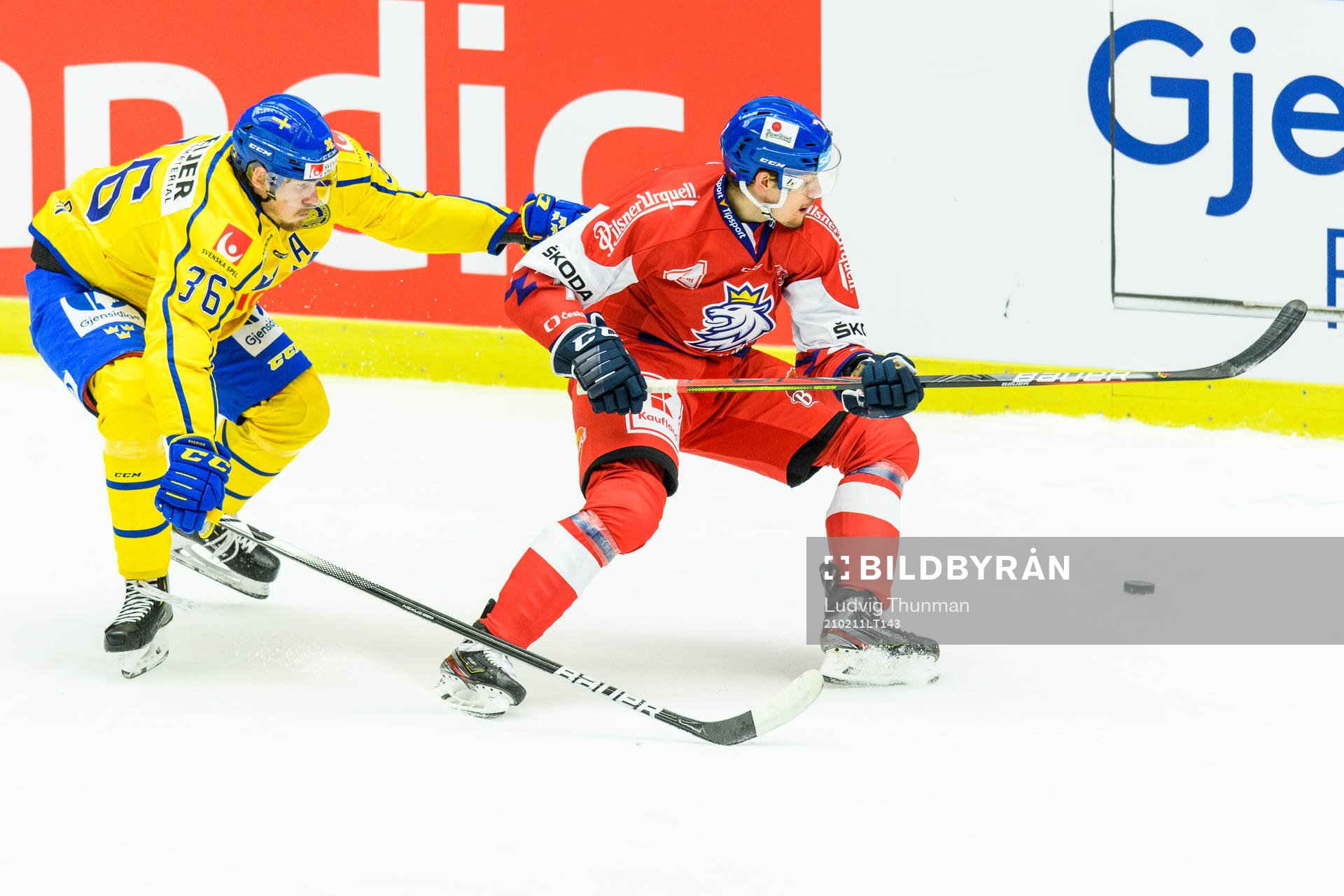 Emil Larsson of Sweden and David Nemecek of Czech Republic