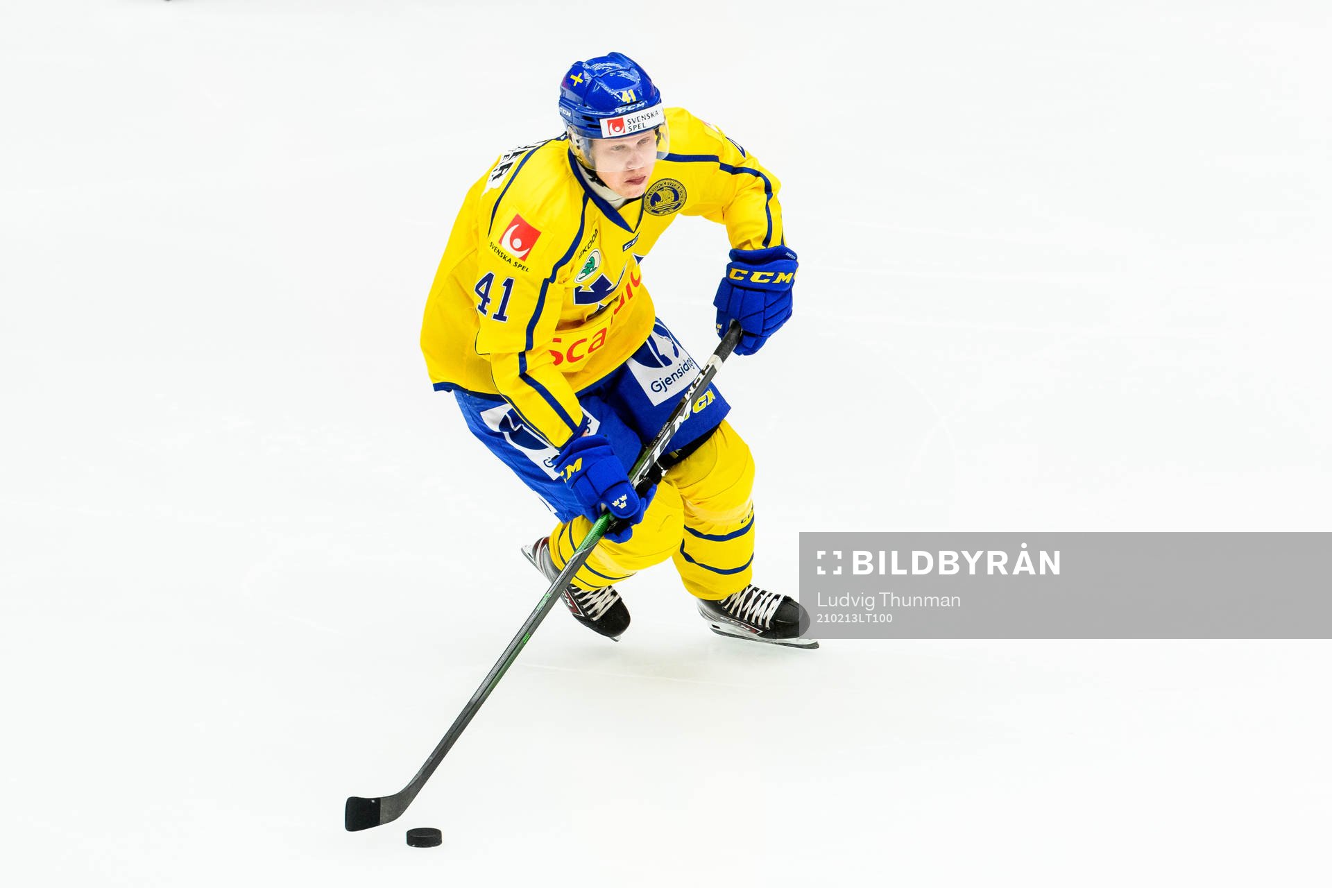 Daniel Viksten of Sweden
