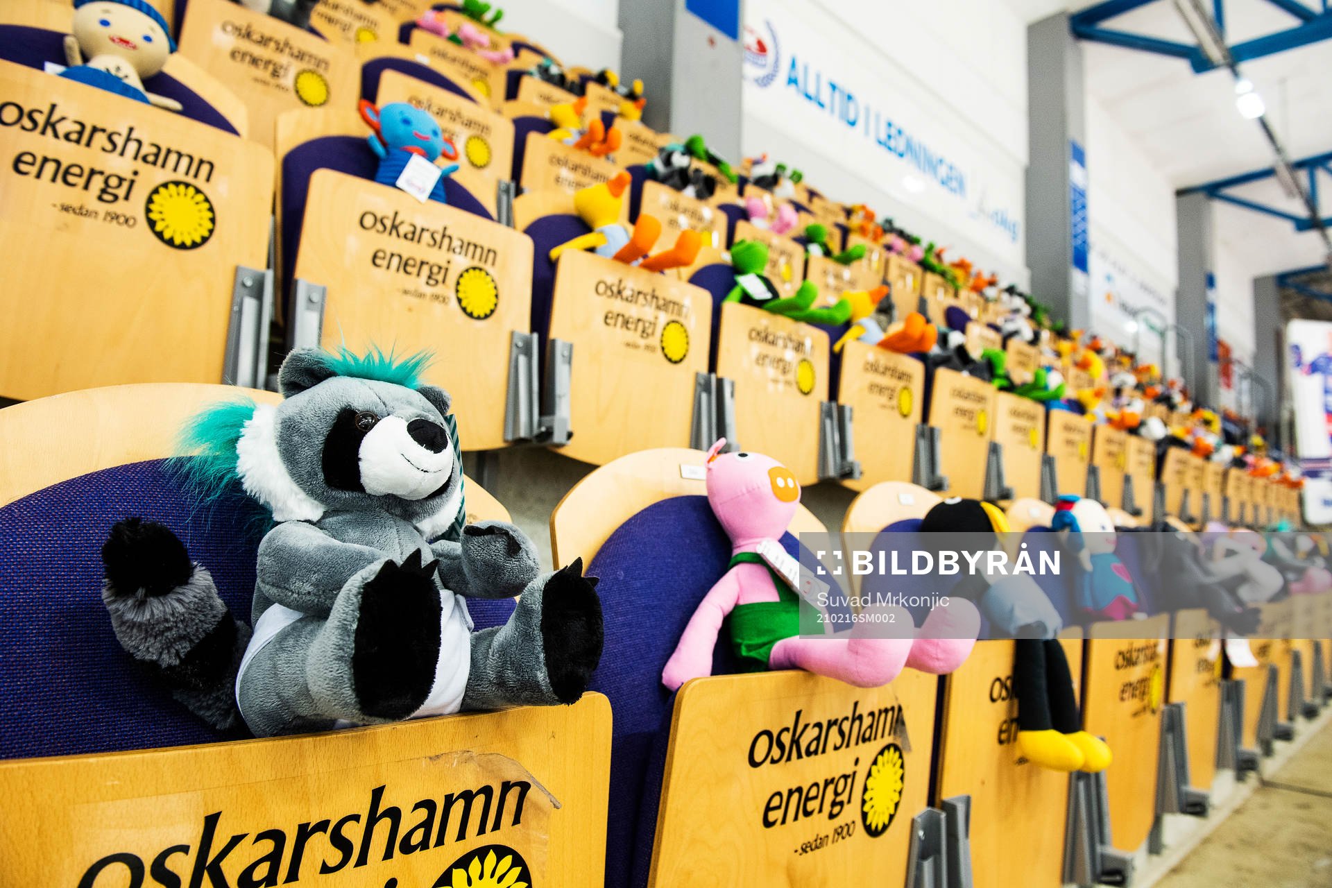 Hela Be-Ge Hockey Center är fullt med nallar och gosedjur