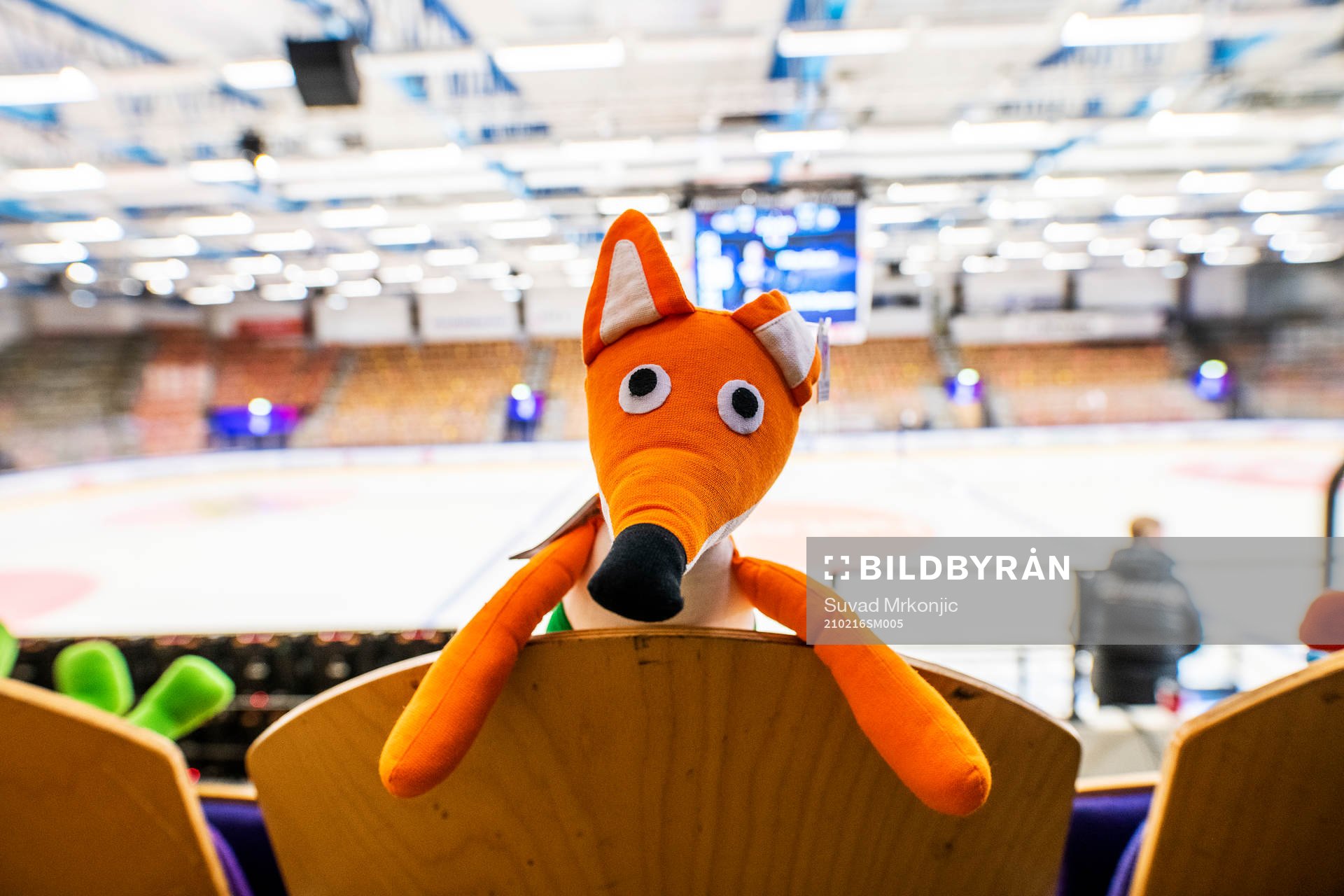 Hela Be-Ge Hockey Center är fullt med nallar och gosedjur
