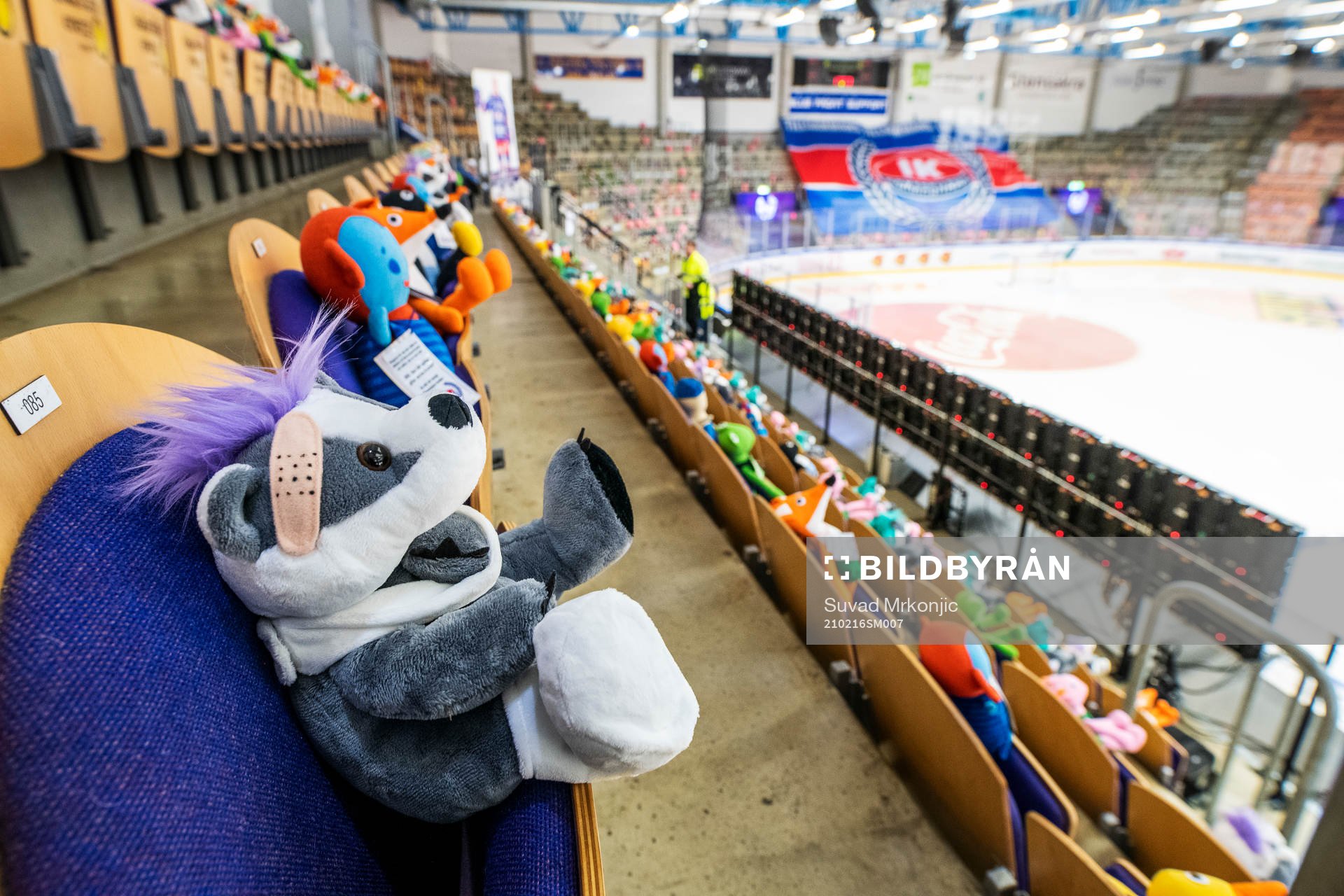 Hela Be-Ge Hockey Center är fullt med nallar och gosedjur