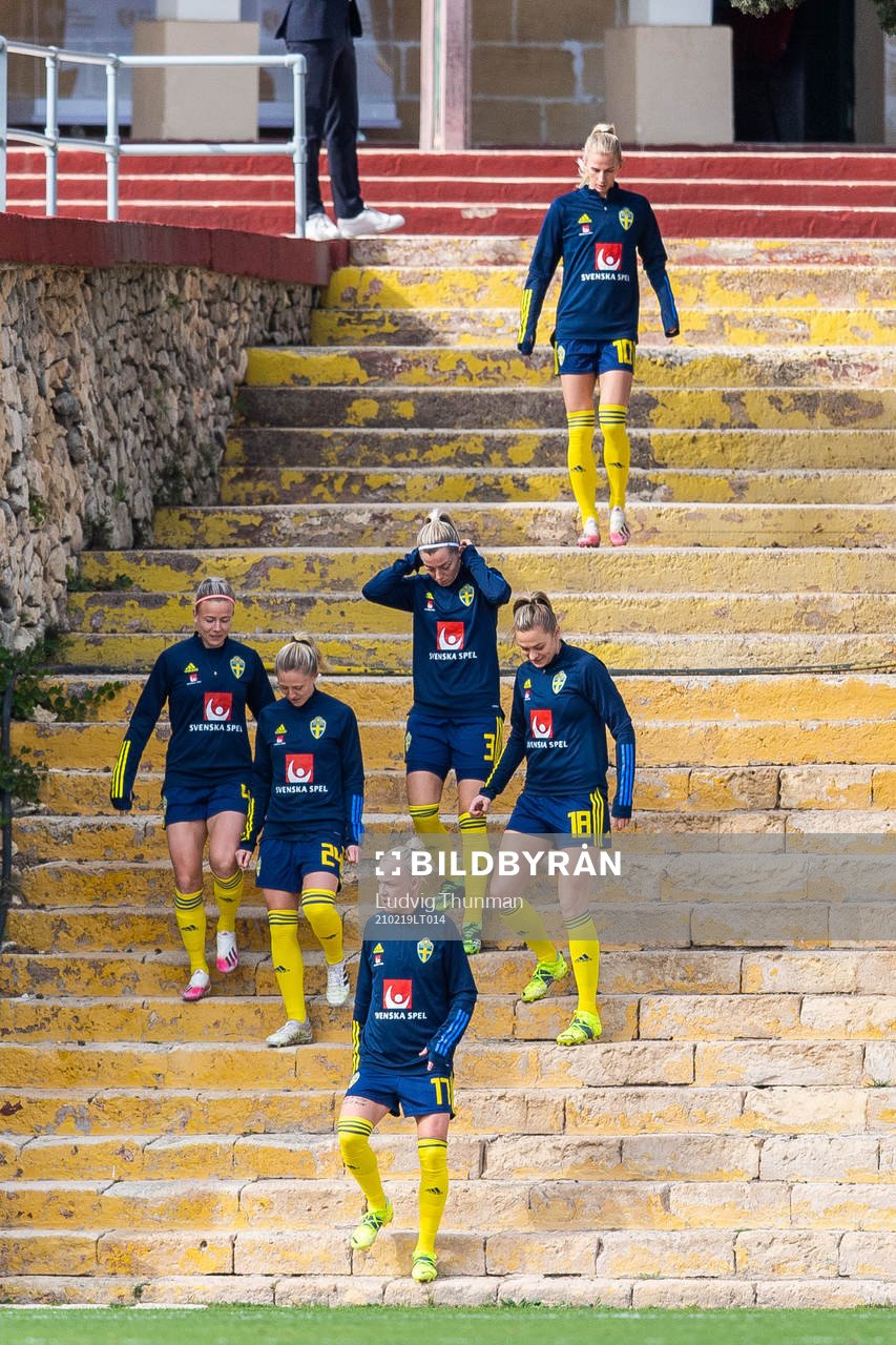 Players of Sweden