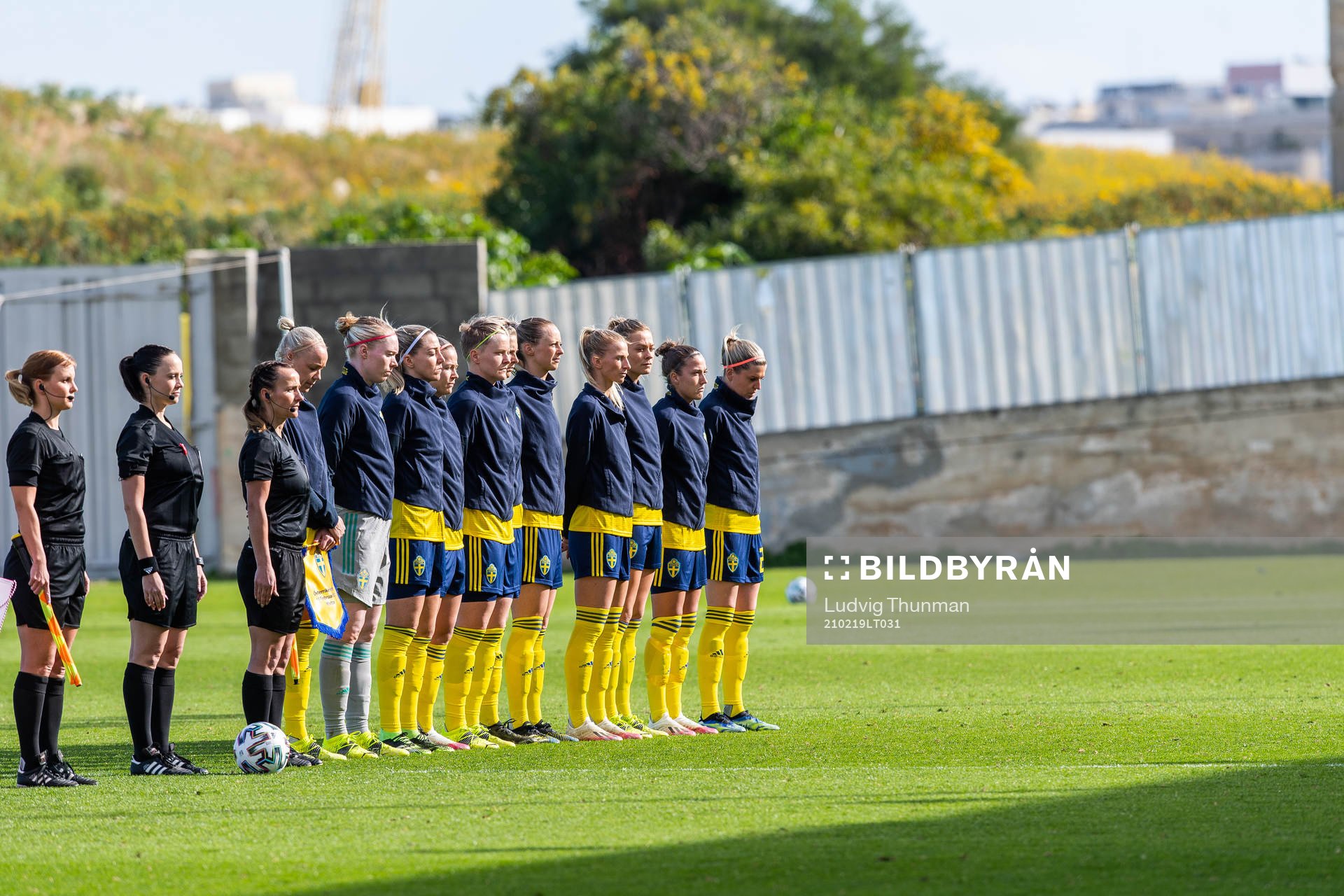 Players of Sweden