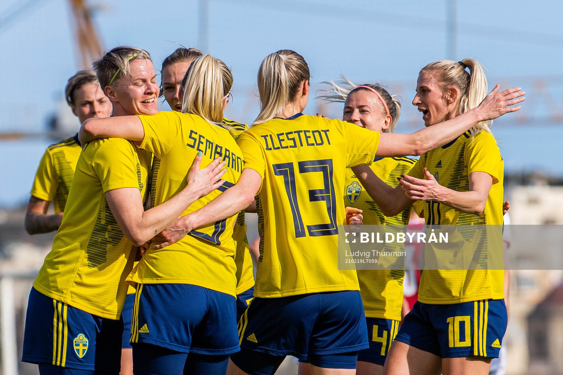 Players of Sweden celebrate