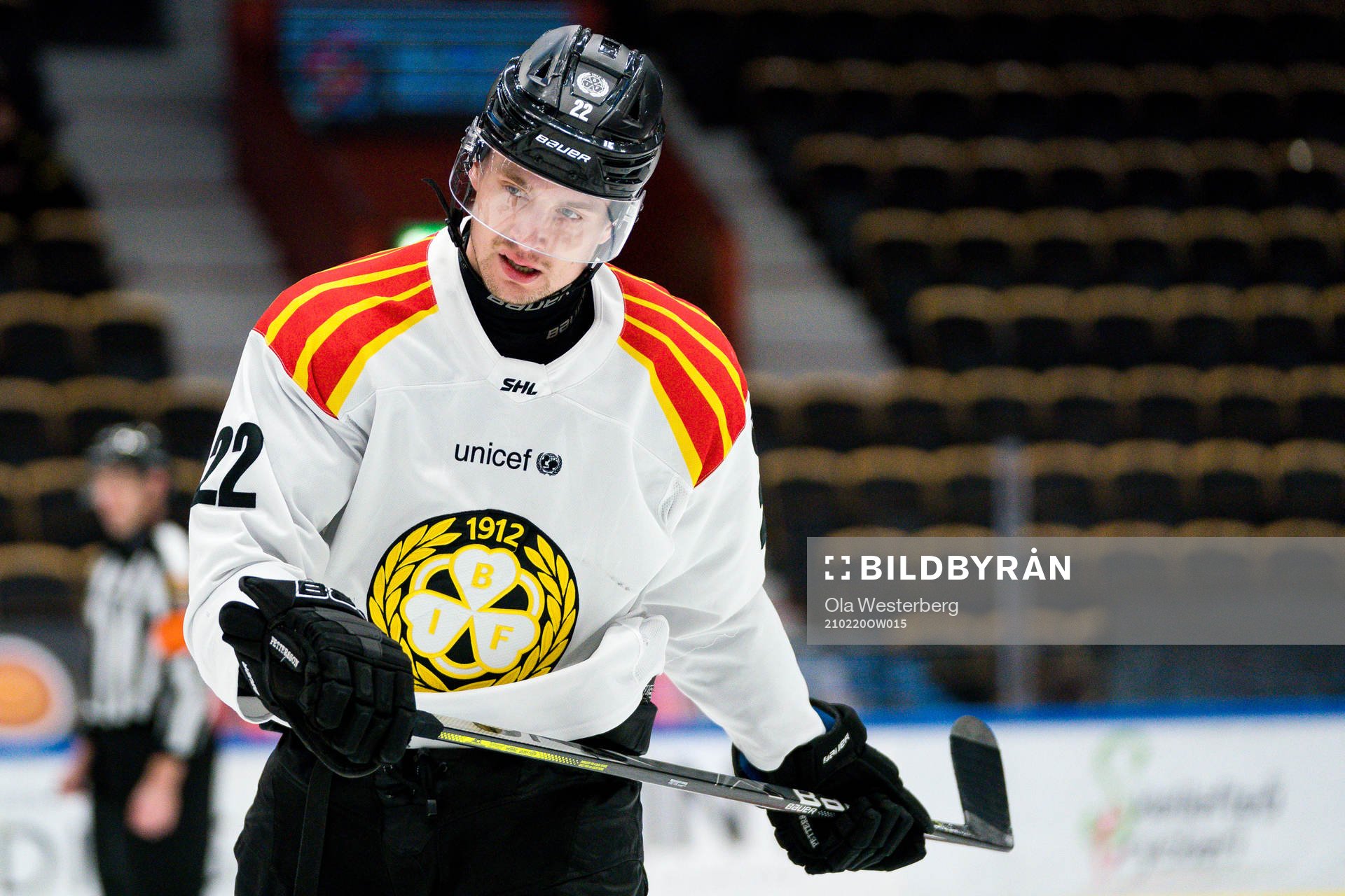 Brynäs Adam Pettersson