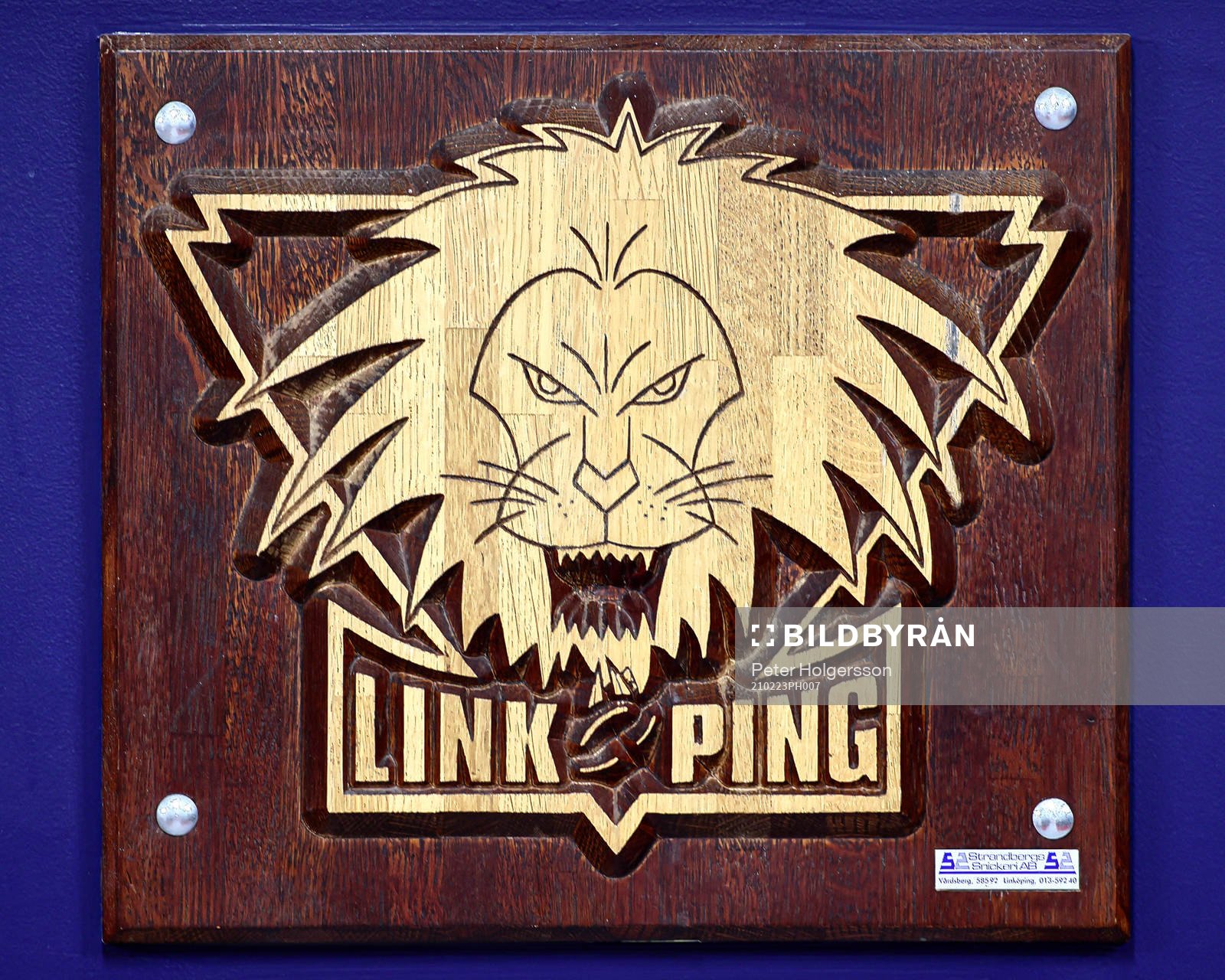 Linköpings emblem