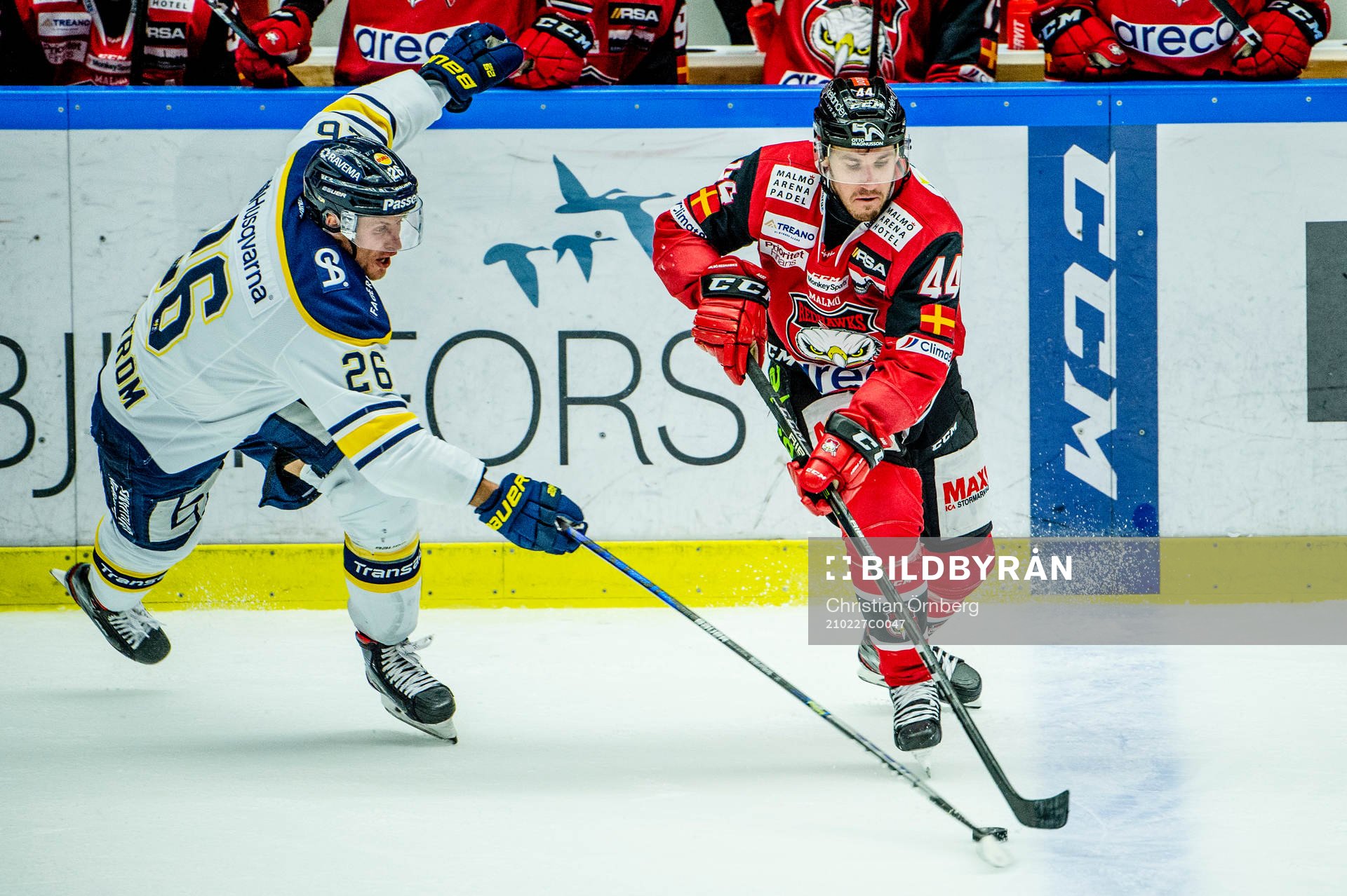 s Alexander Bergström och Malmö Redhawks Jesper Jensen