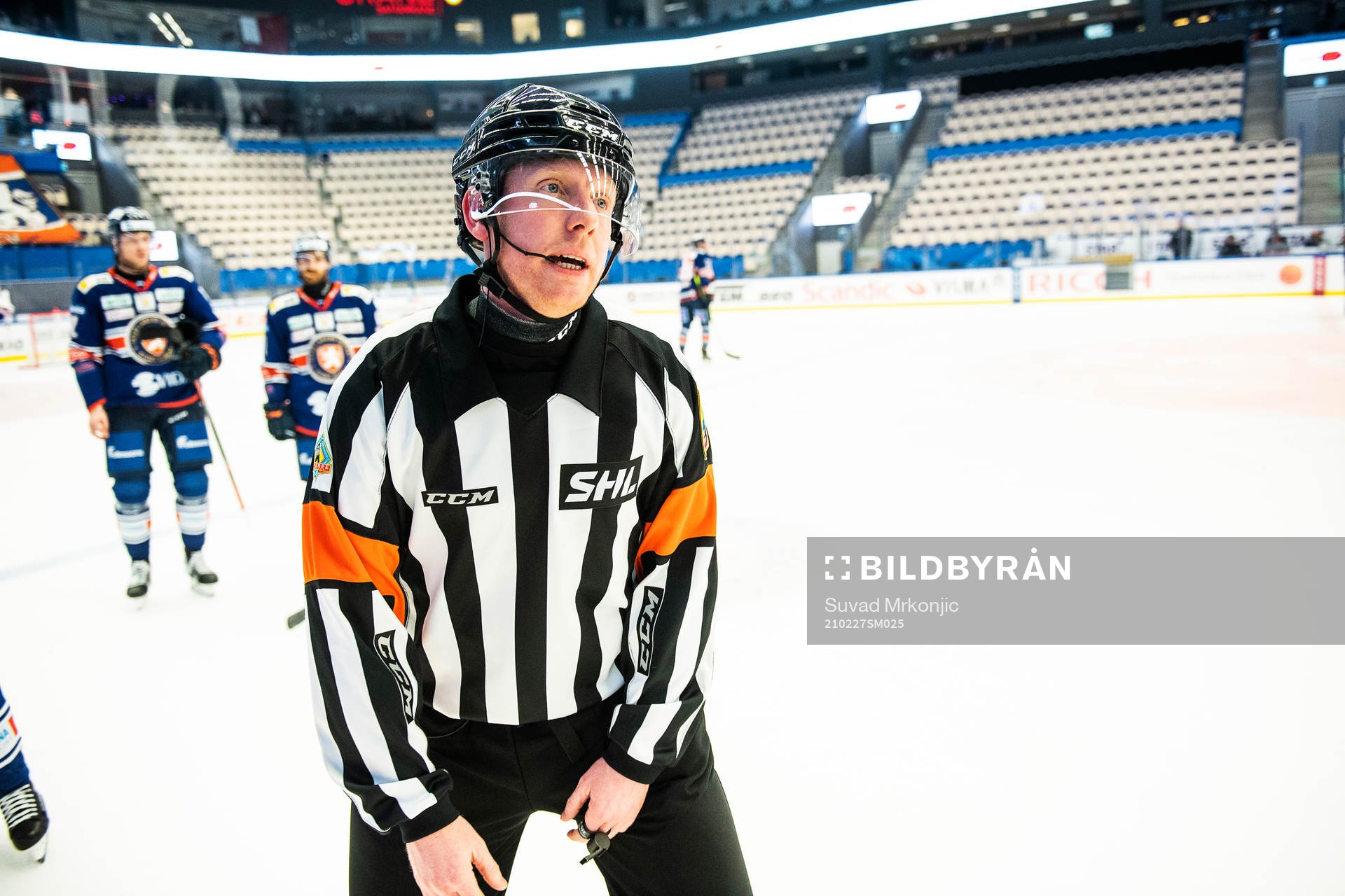 Domare Mikael Holm