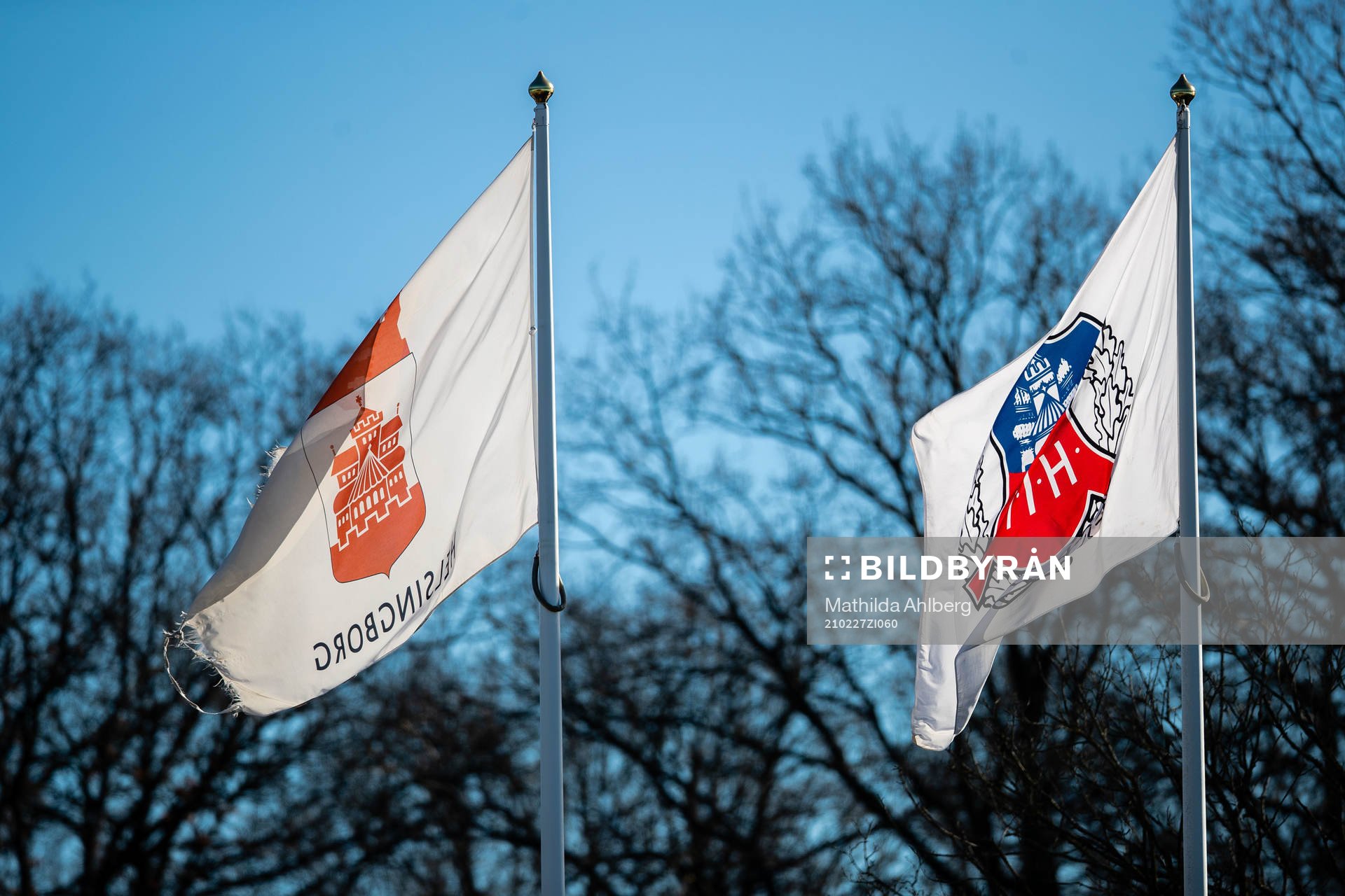 Flaggor med Helsingborgs kommun emblem och Helsingborgs IFs