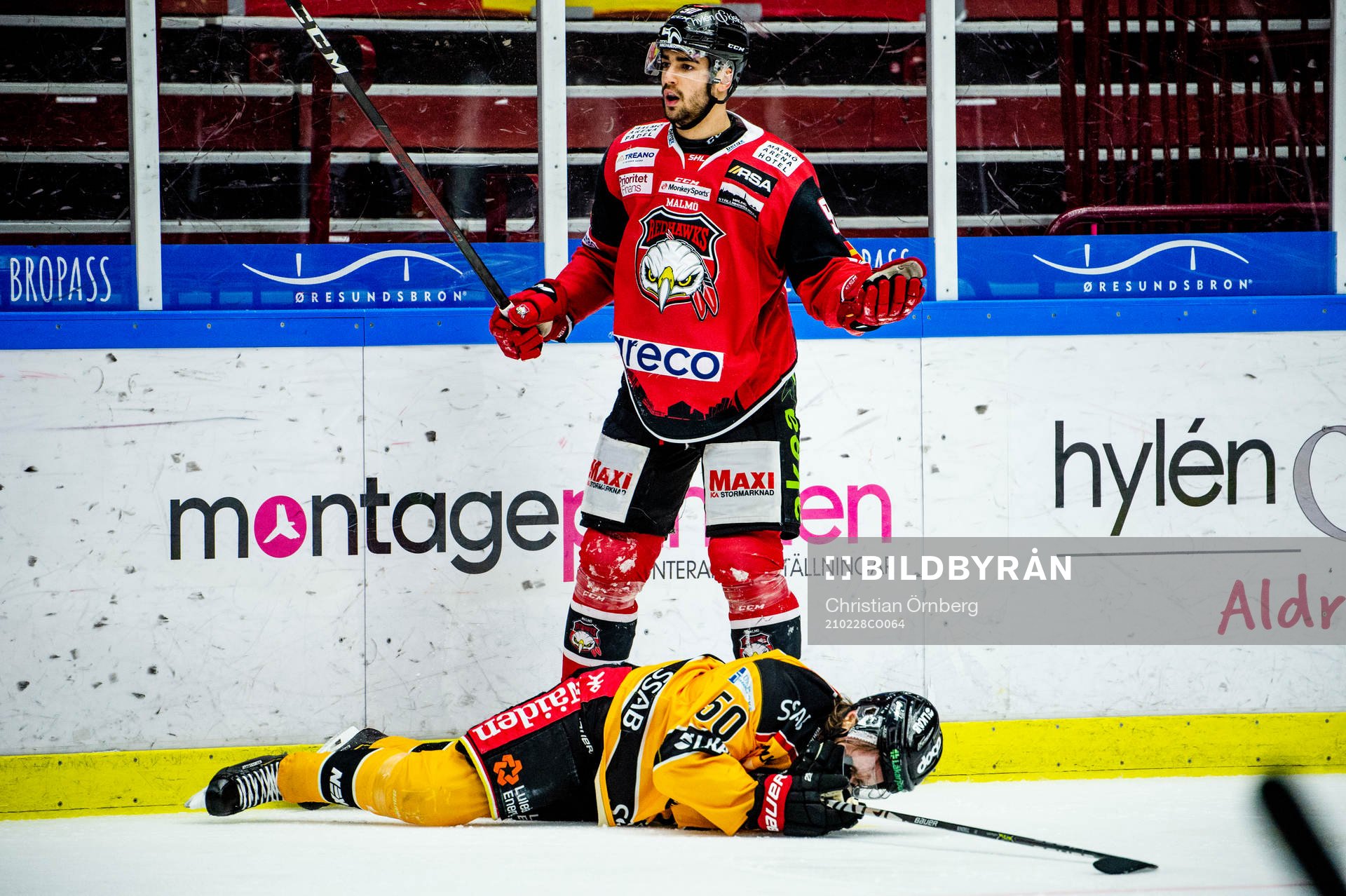 Malmö Redhawks Joseph Veleno utvisas