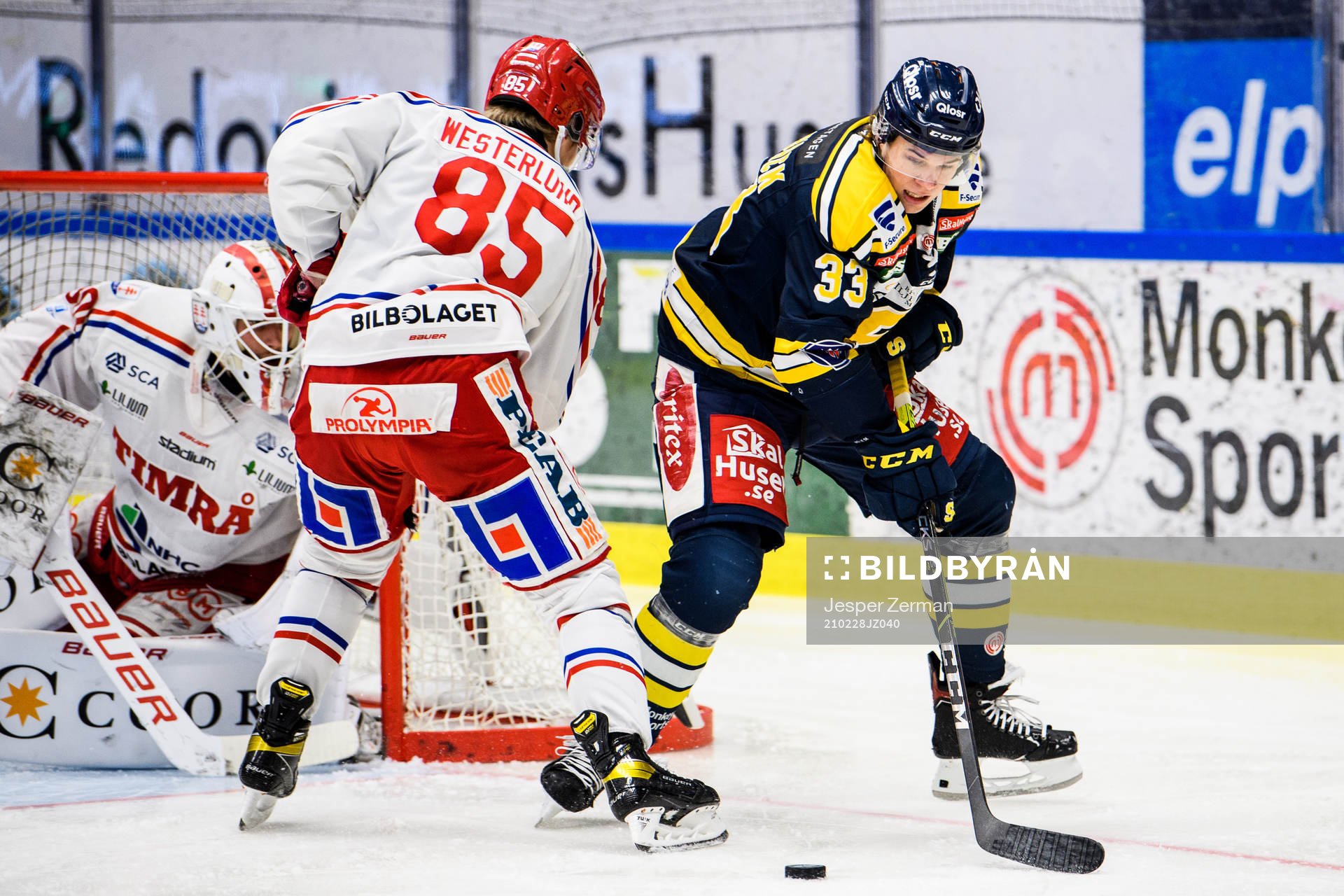 Timrås Filip Westerlund och Södertäljes Måns Lindbäck