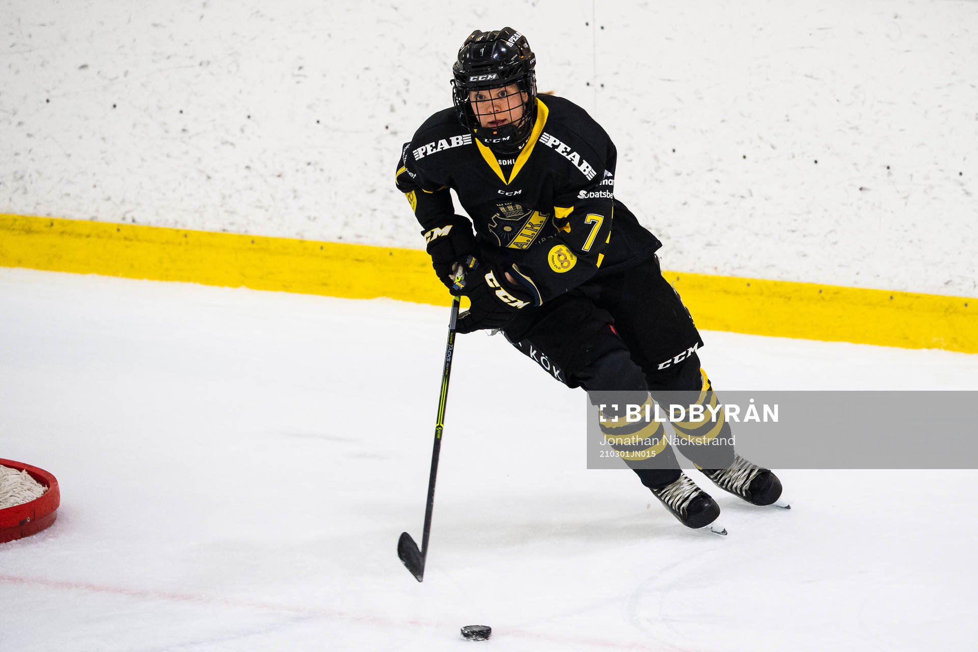 s Linnea Hedin