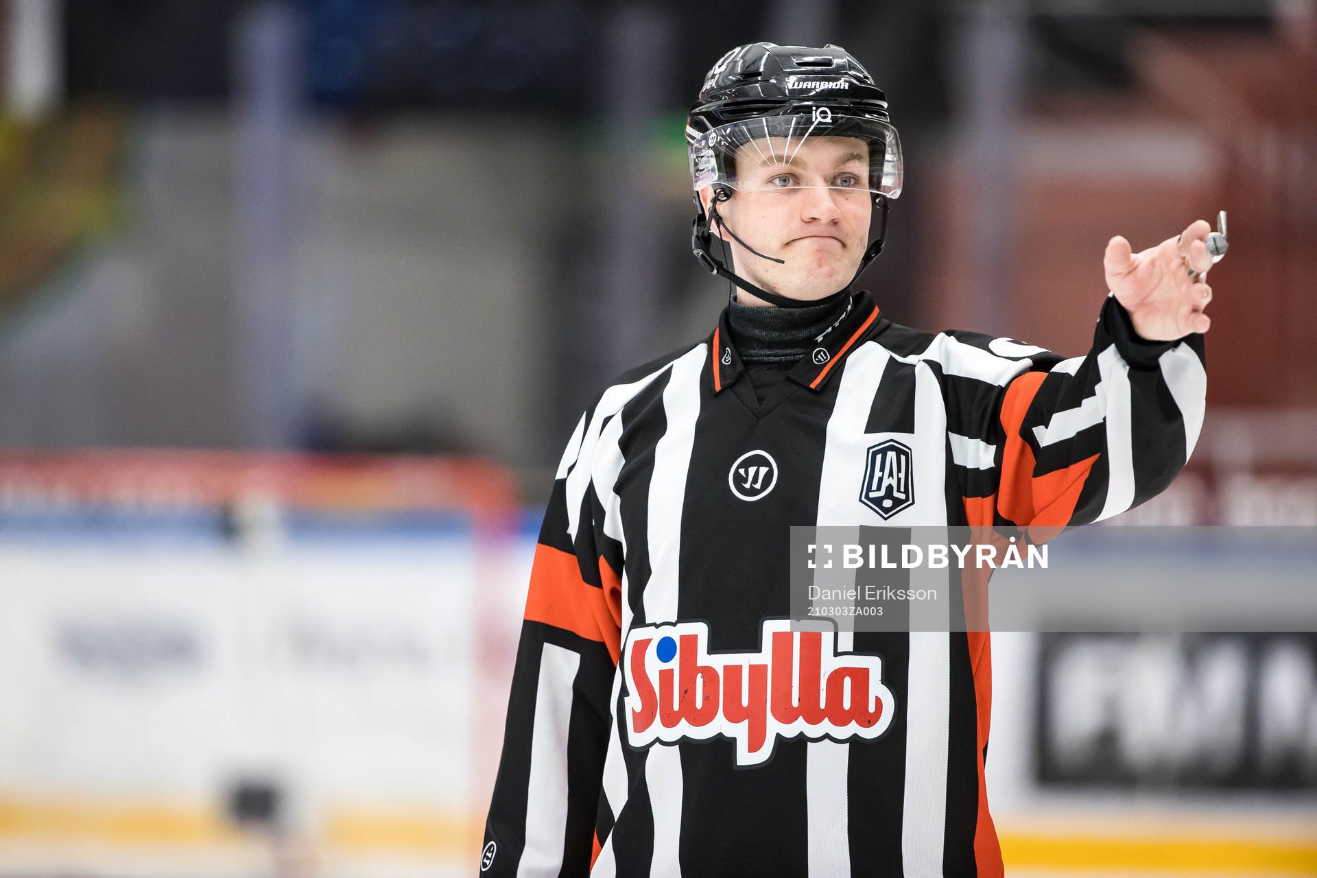 Domare Daniel Eriksson
