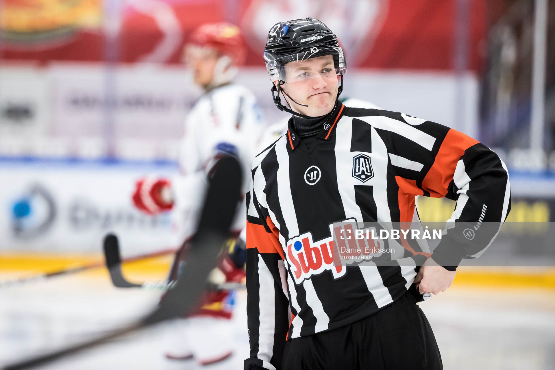 Domare Daniel Eriksson