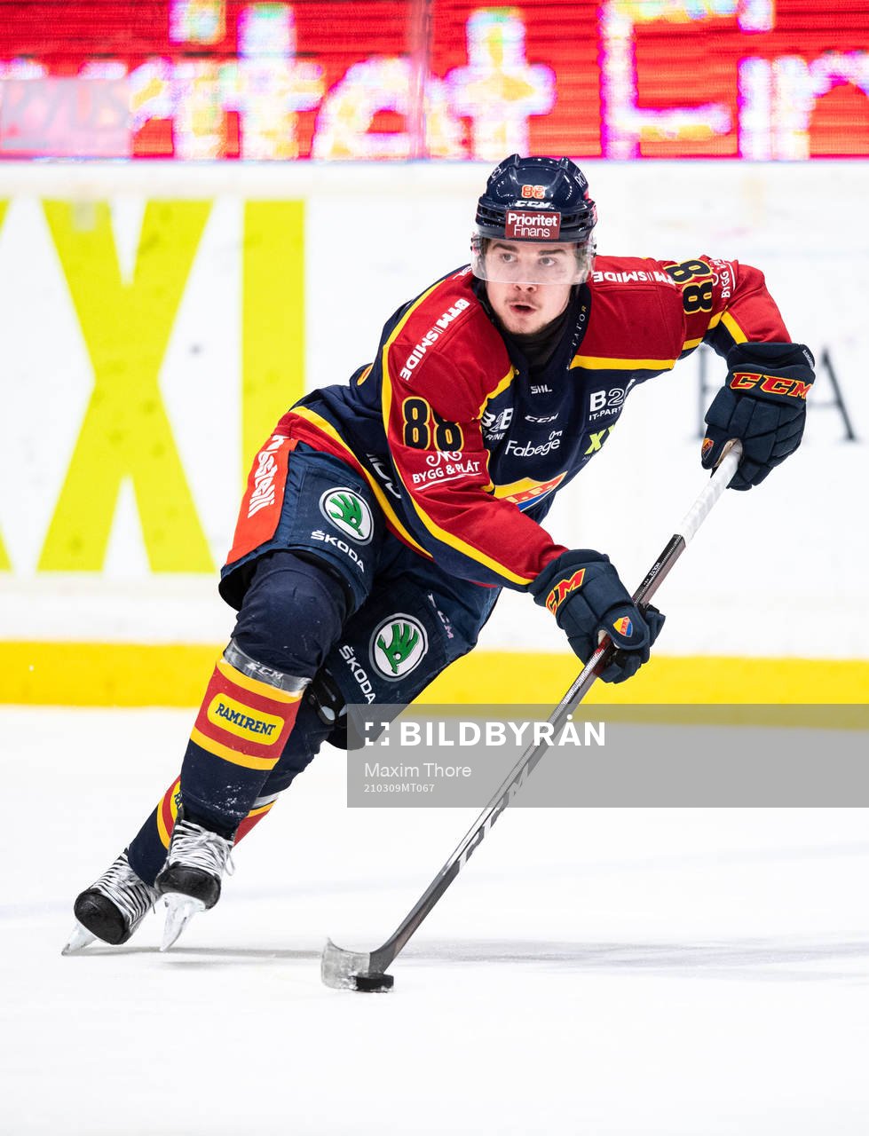 Djurgårdens Alexander Holtz